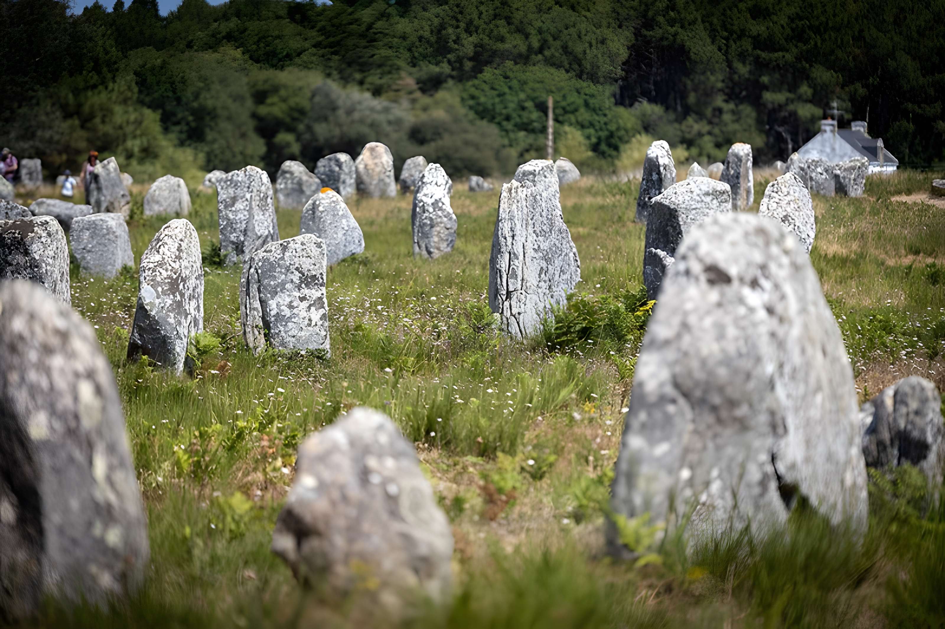 Six menhirs de l'enceinte du Ménec