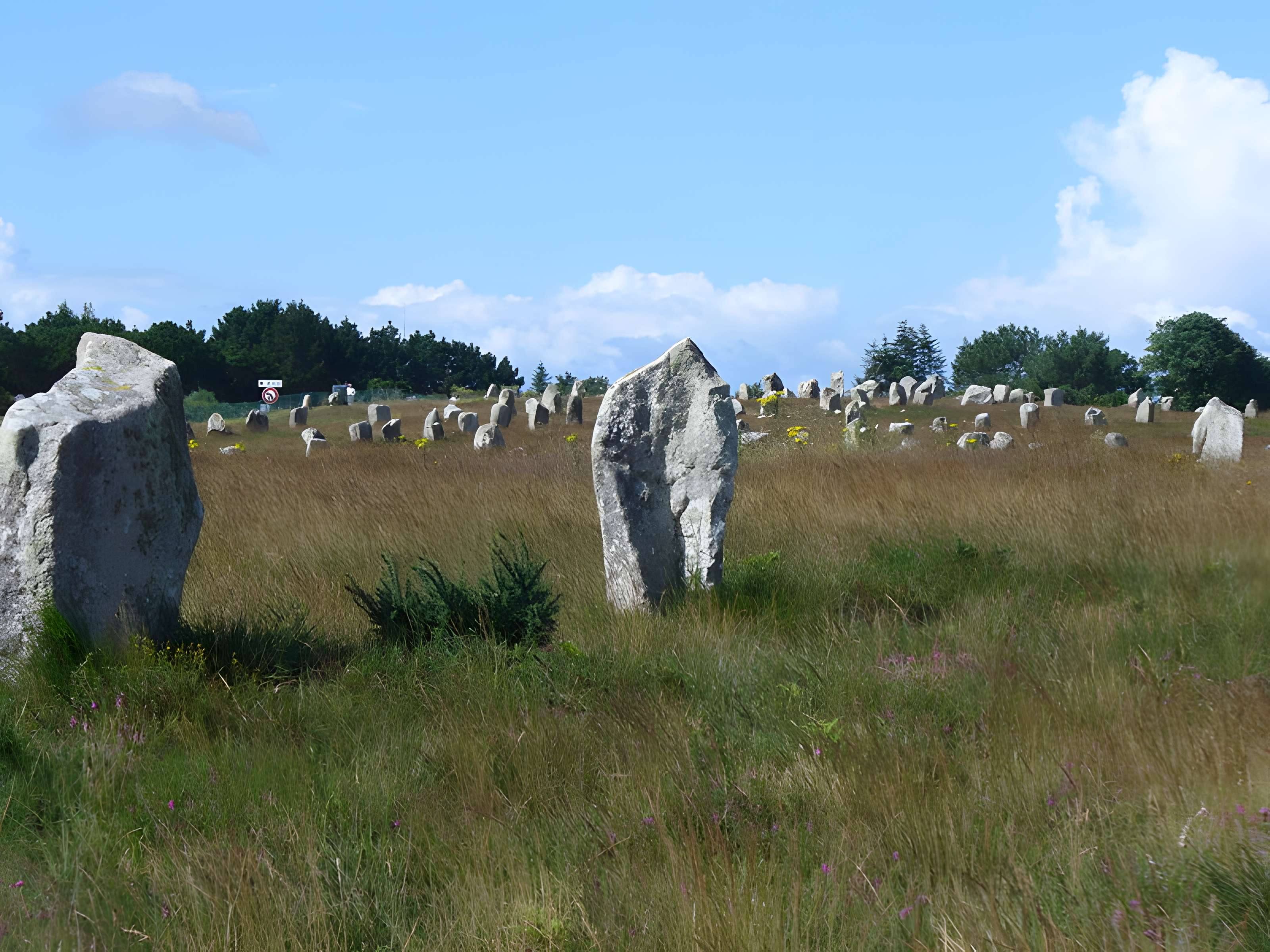 Six menhirs de l'enceinte du Ménec