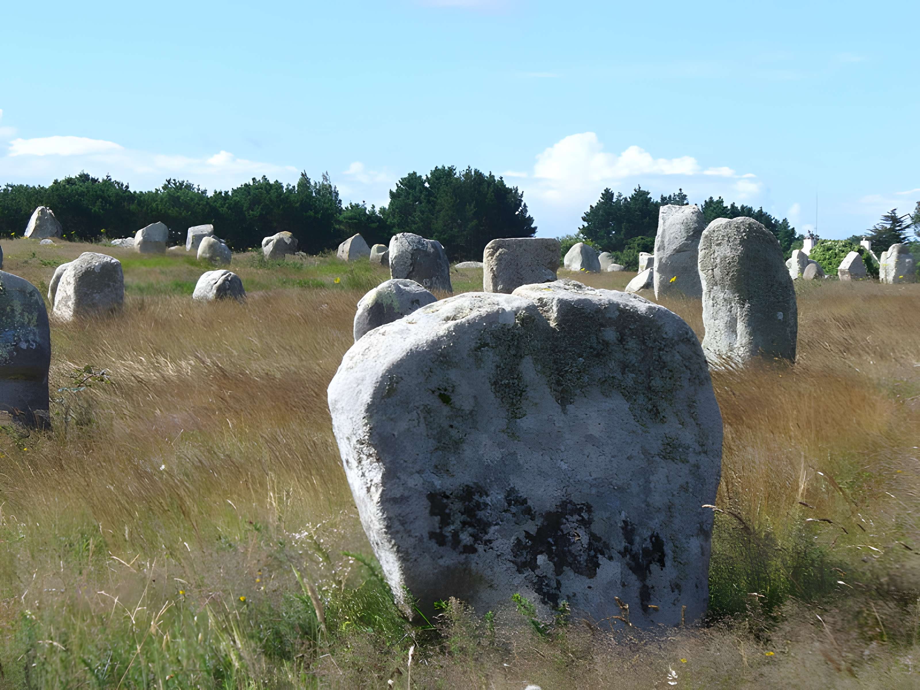 Six menhirs de l'enceinte du Ménec