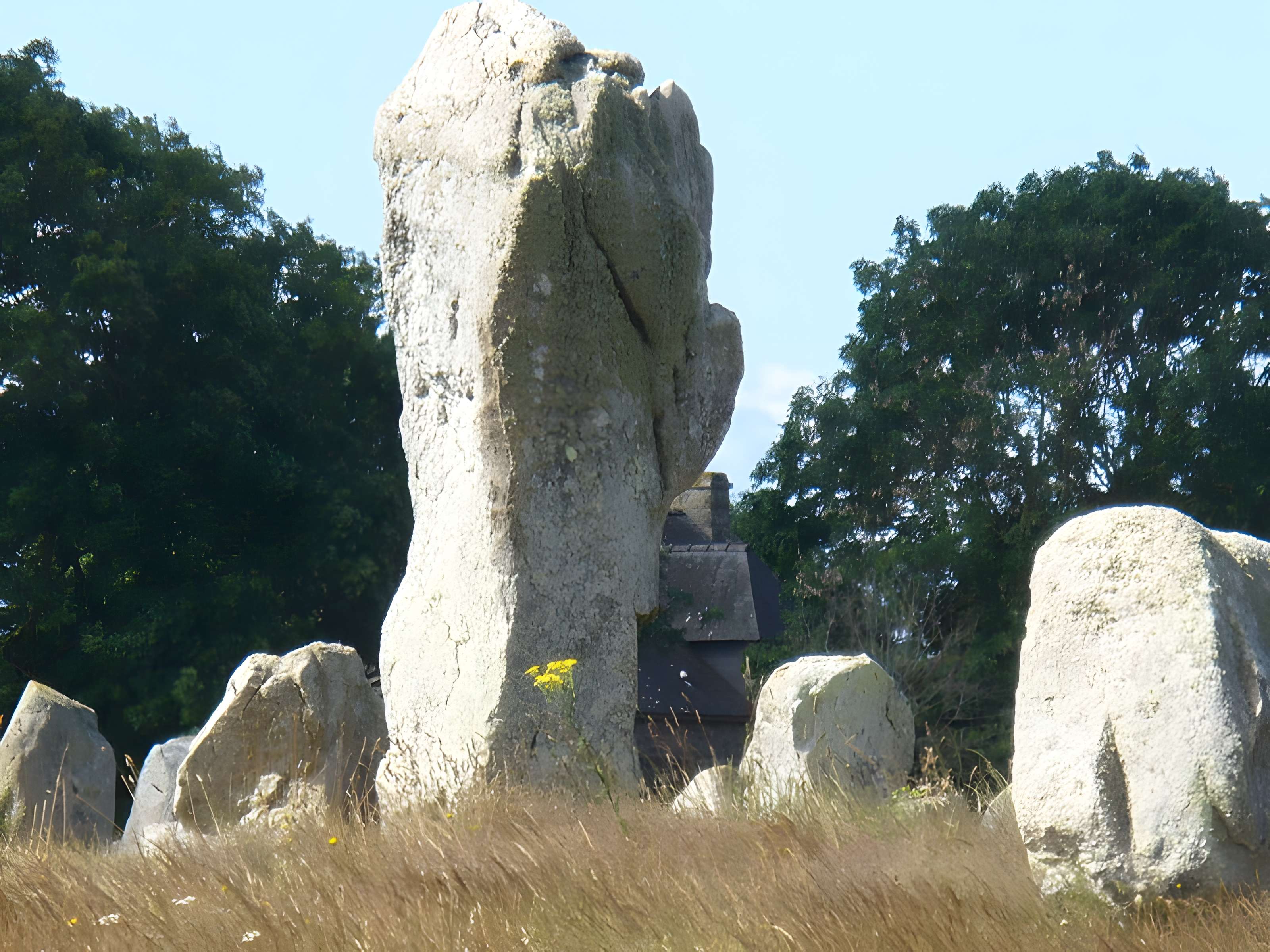 Six menhirs de l'enceinte du Ménec