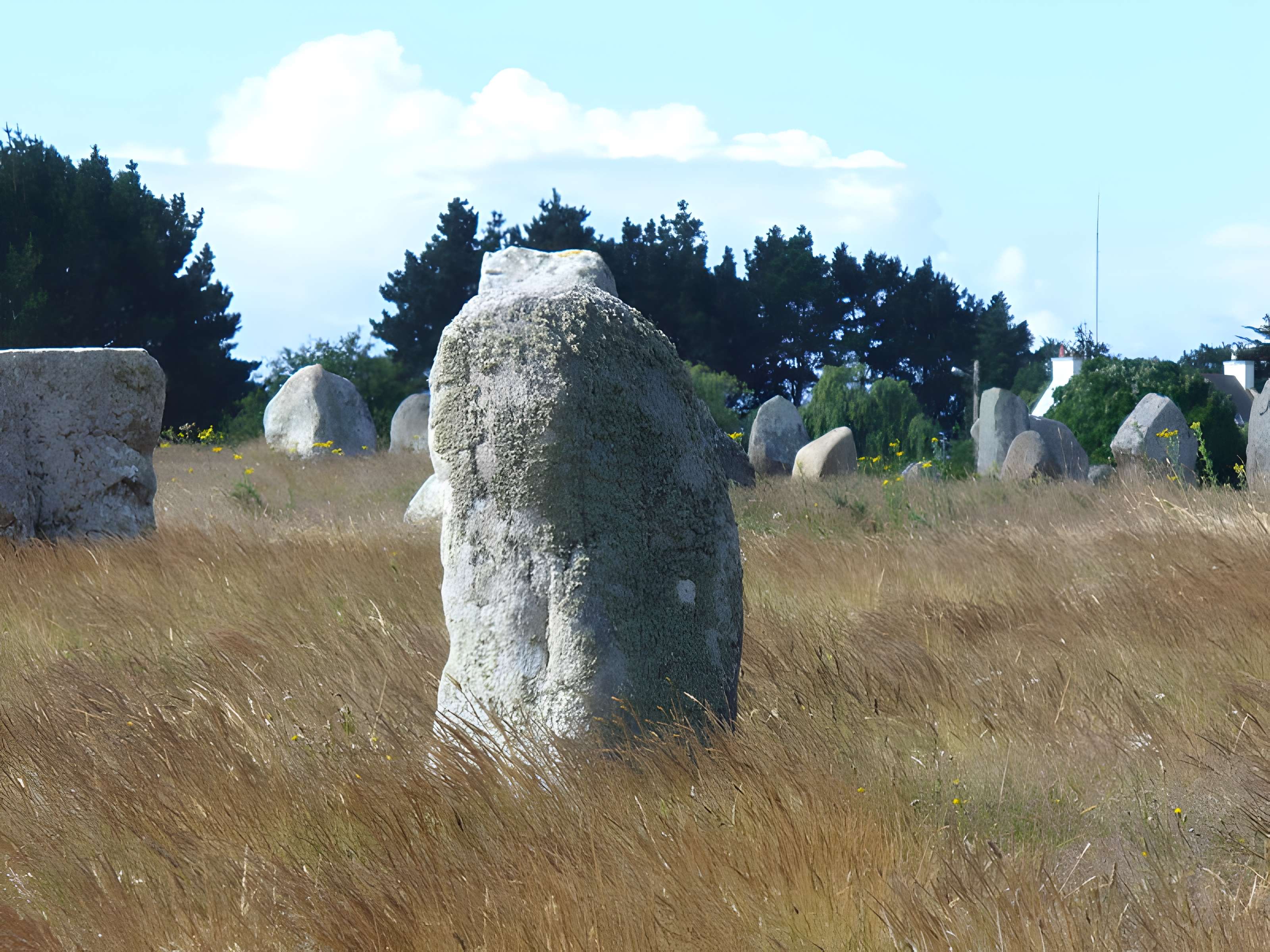 Six menhirs de l'enceinte du Ménec