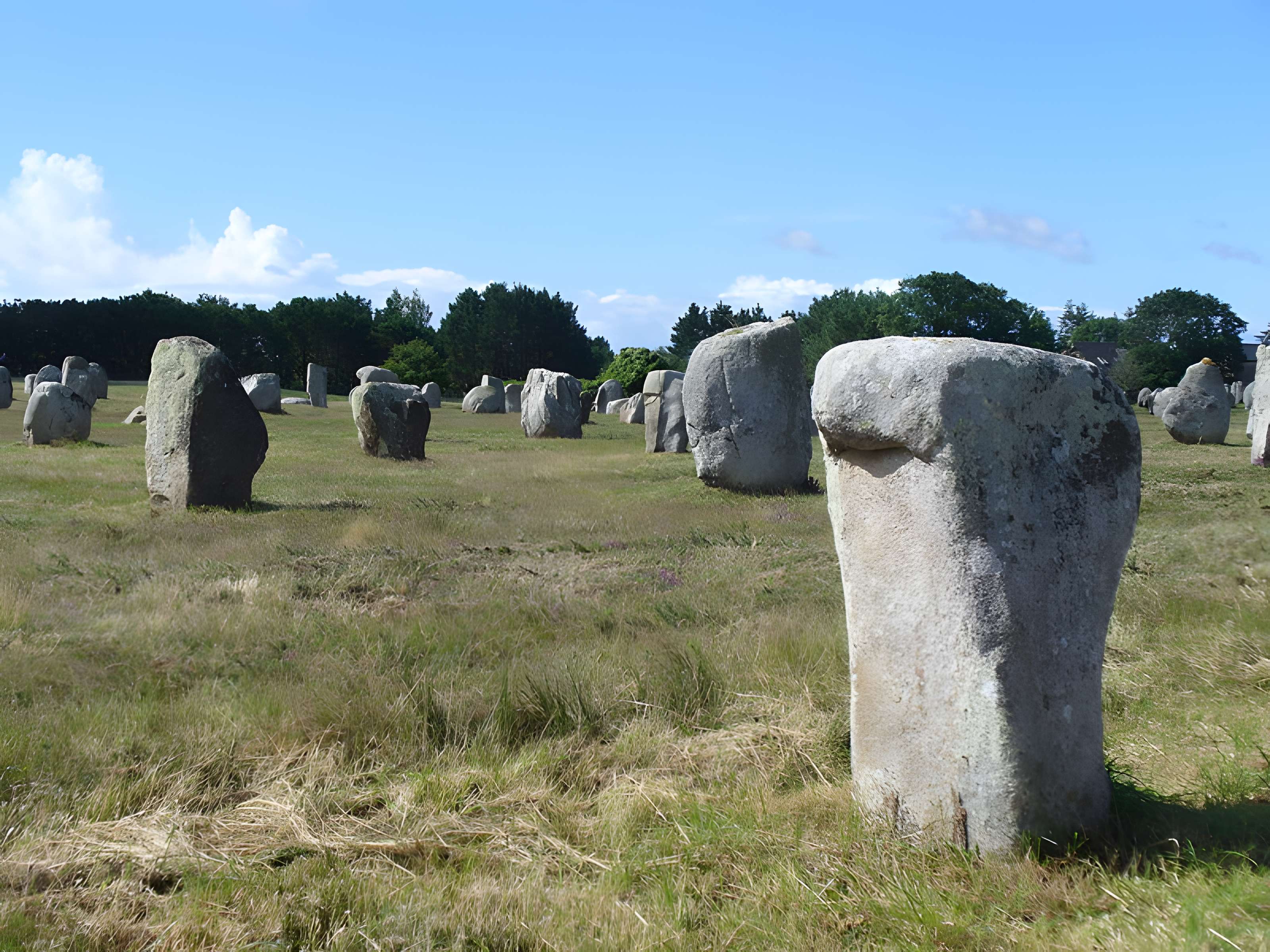 Six menhirs de l'enceinte du Ménec