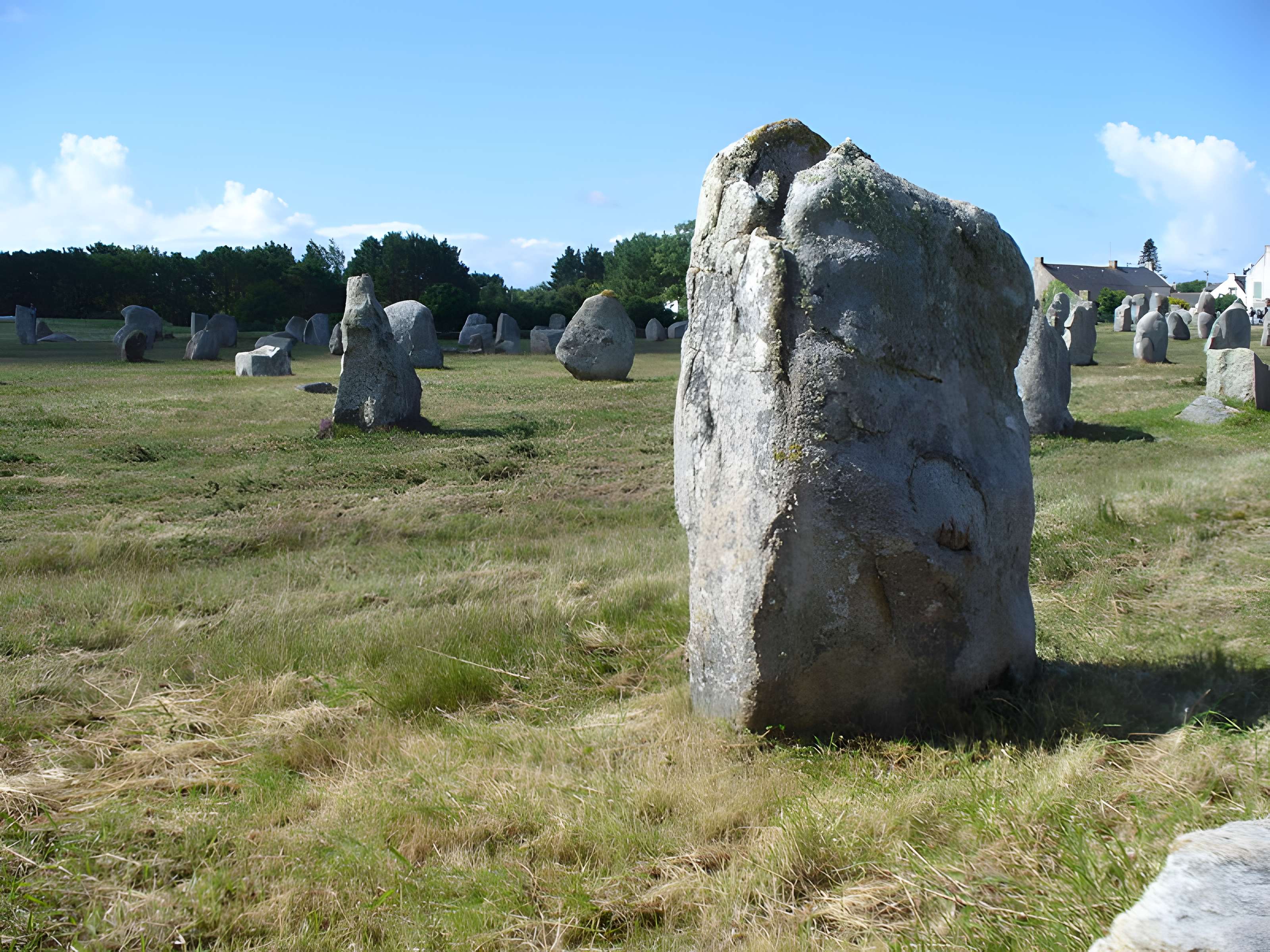 Six menhirs de l'enceinte du Ménec