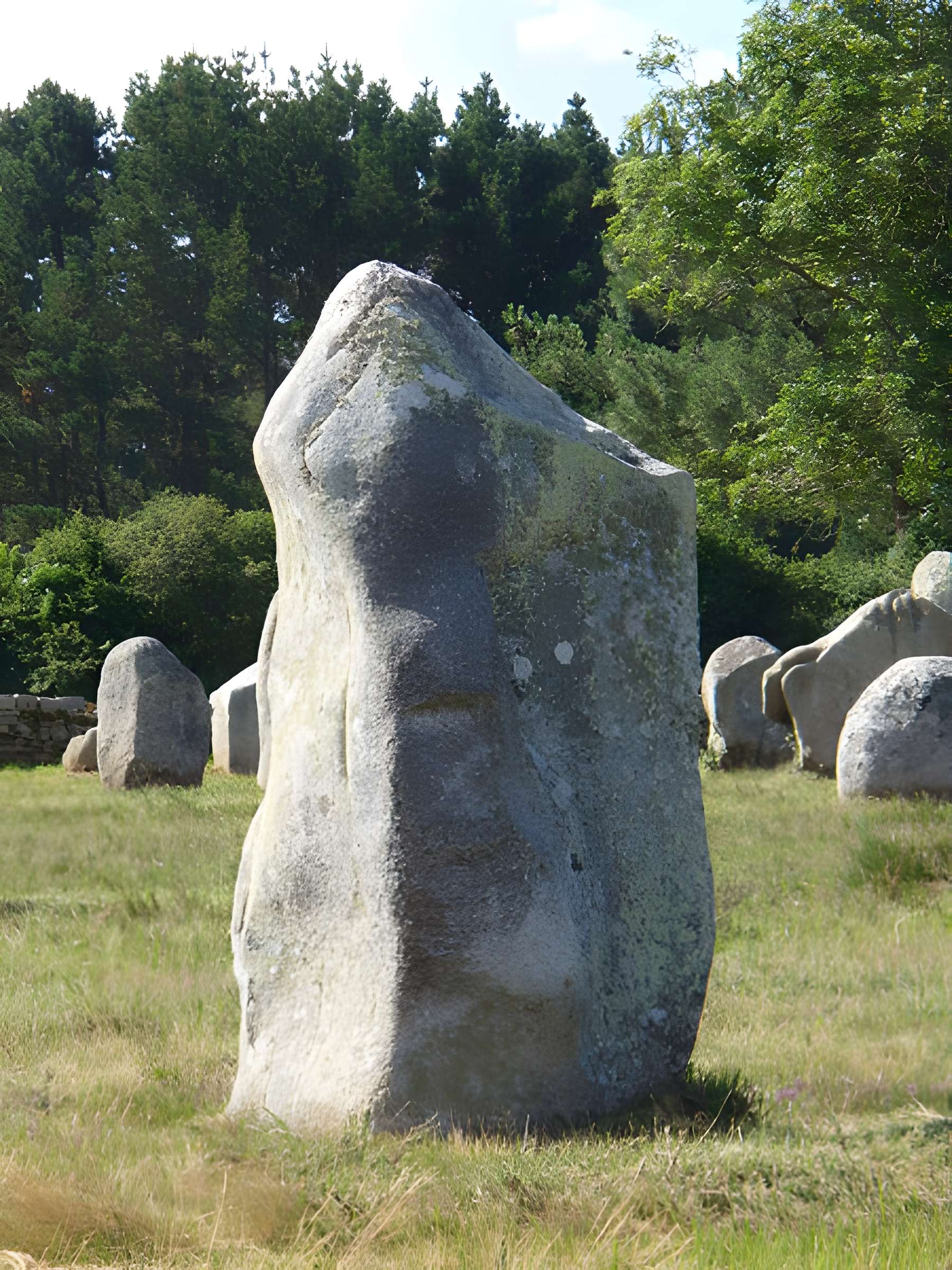 Six menhirs de l'enceinte du Ménec