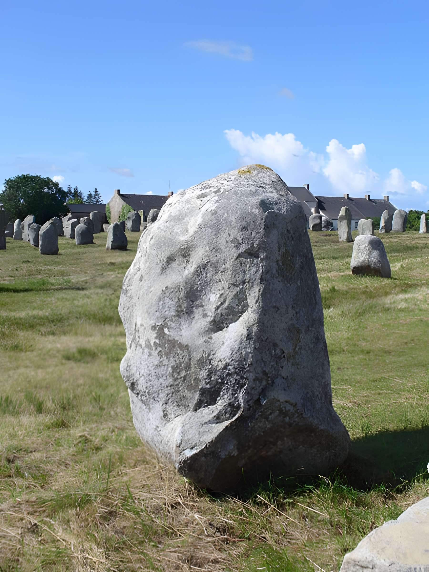 Six menhirs de l'enceinte du Ménec