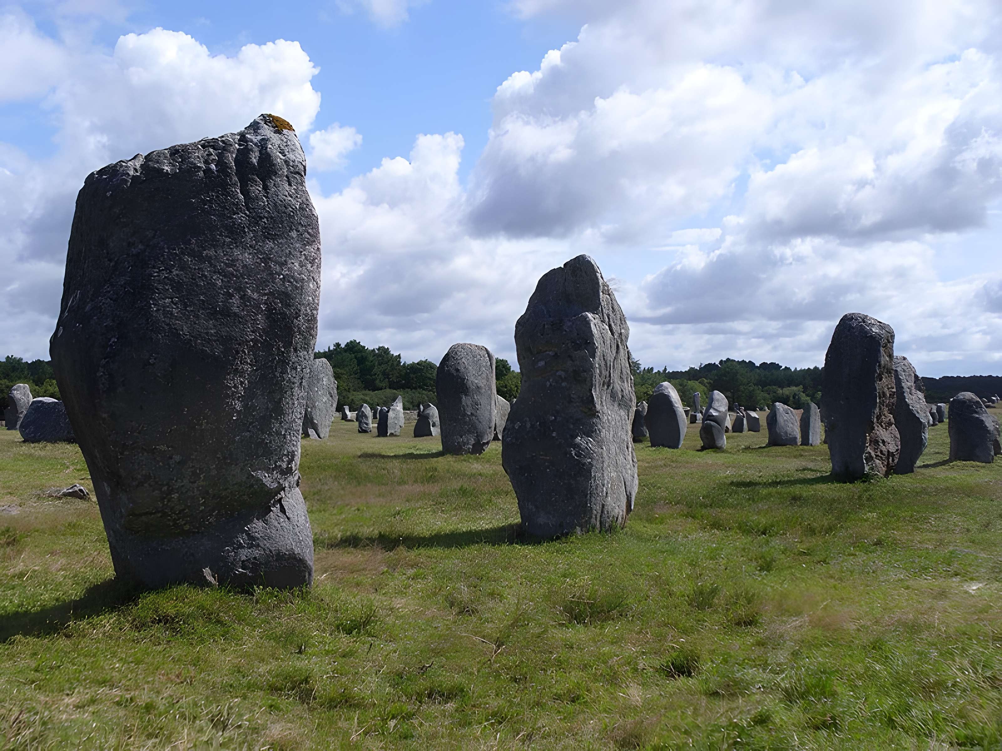 Six menhirs de l'enceinte du Ménec