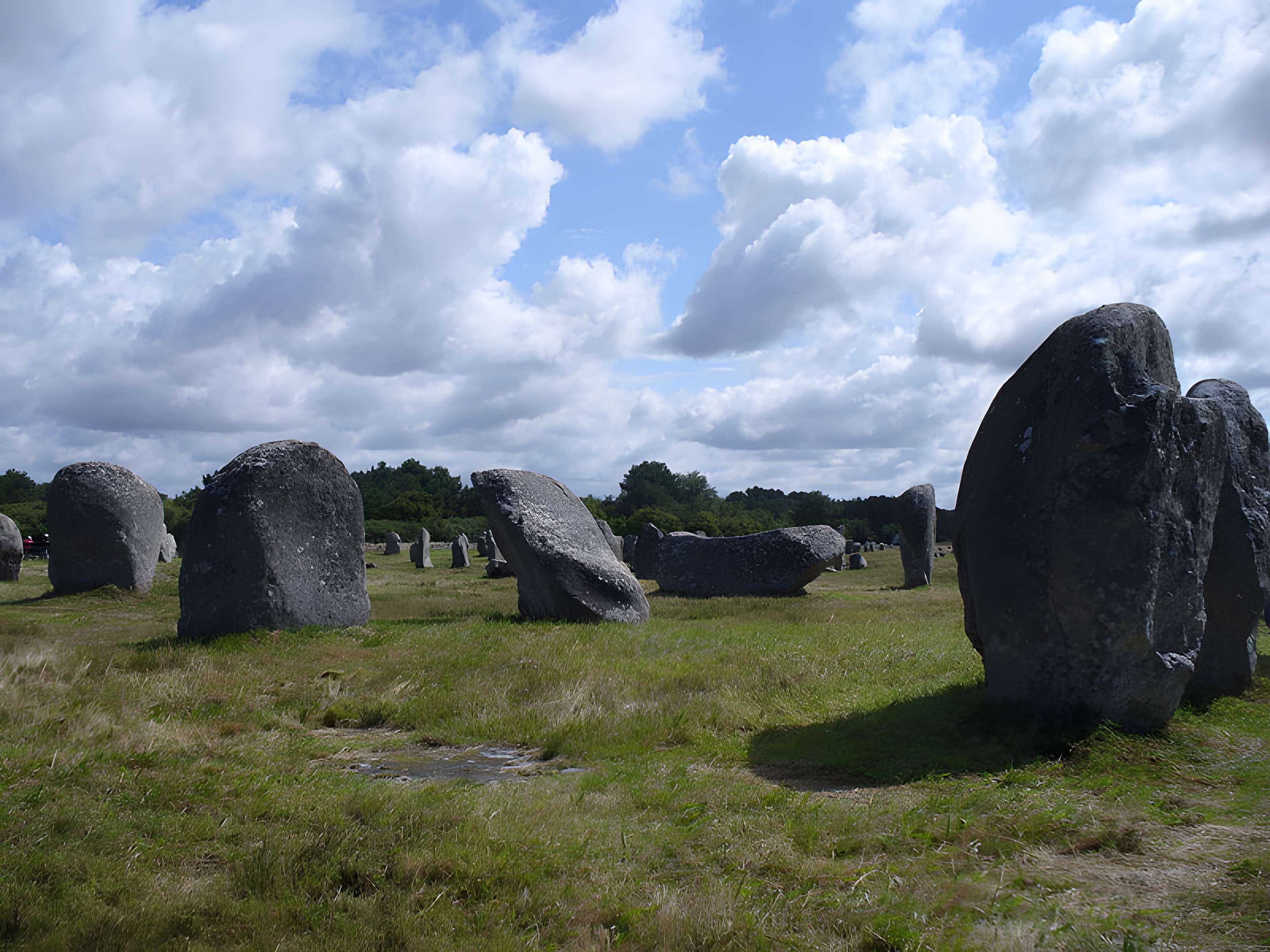 Six menhirs de l'enceinte du Ménec