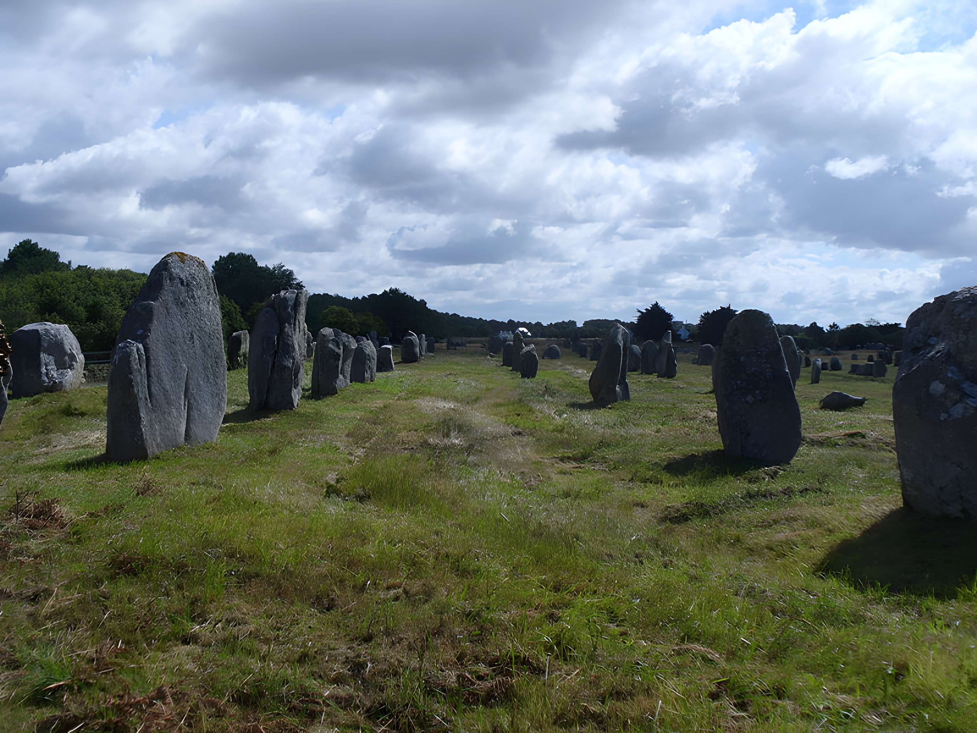 Six menhirs de l'enceinte du Ménec