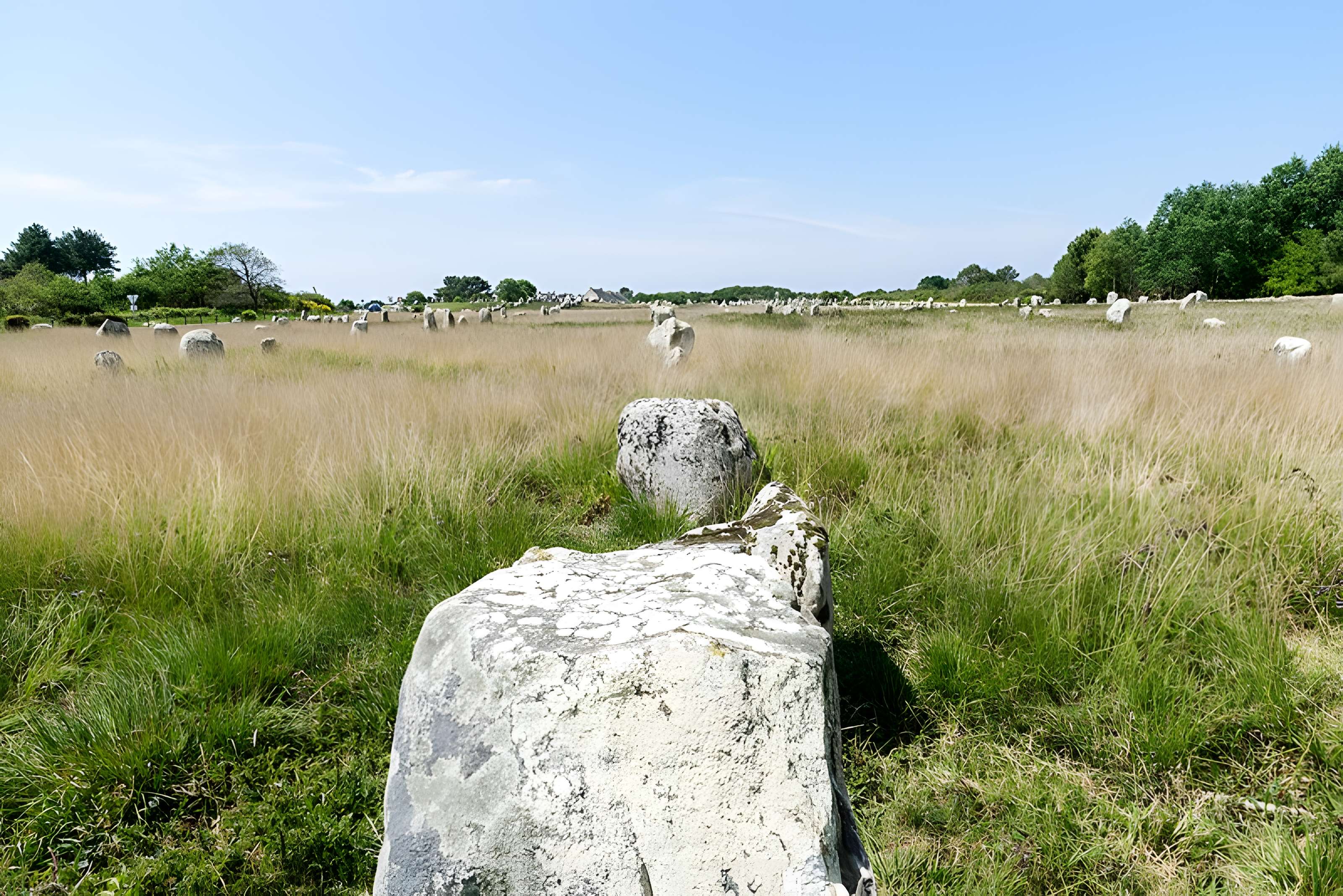 Six menhirs de l'enceinte du Ménec