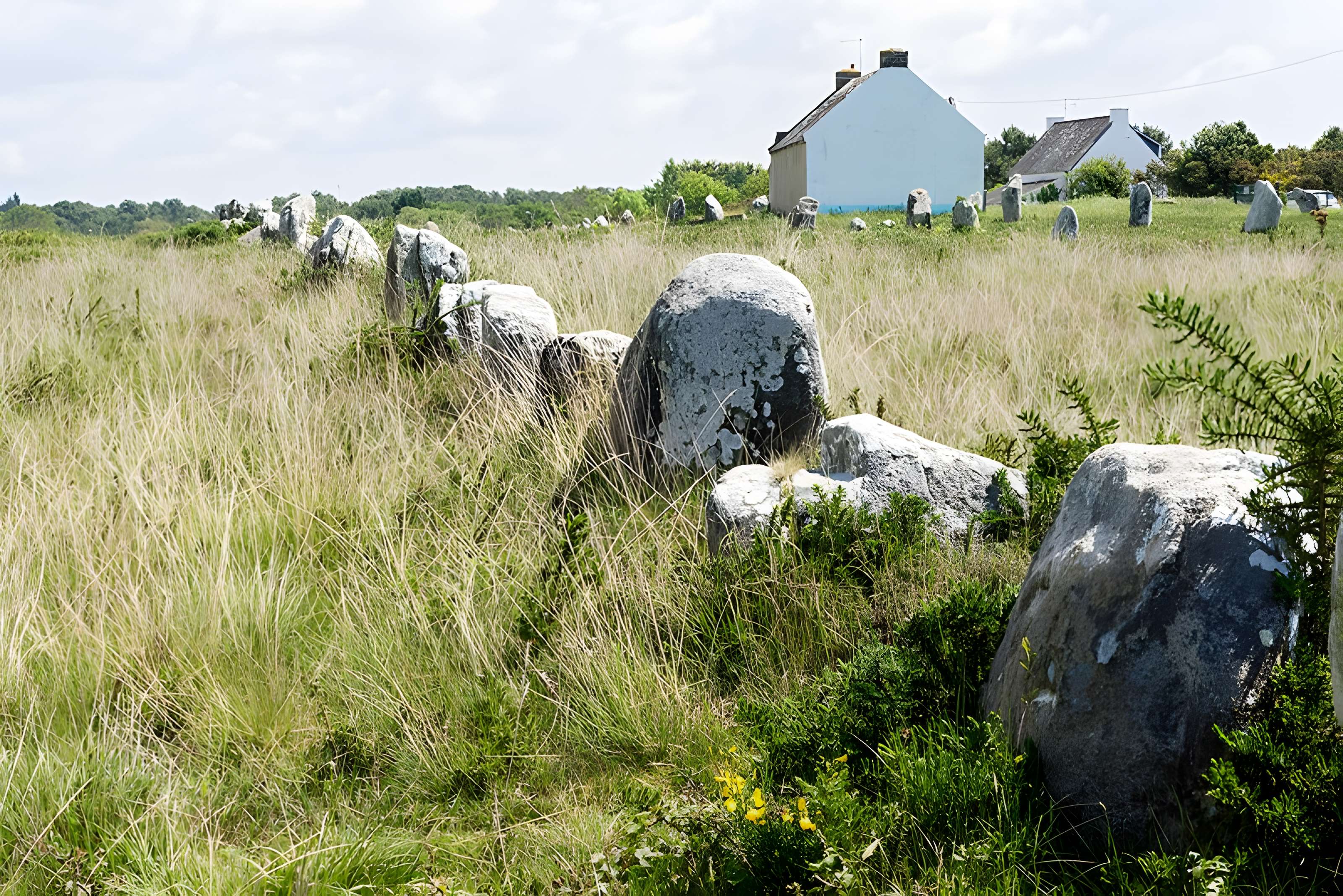 Six menhirs de l'enceinte du Ménec