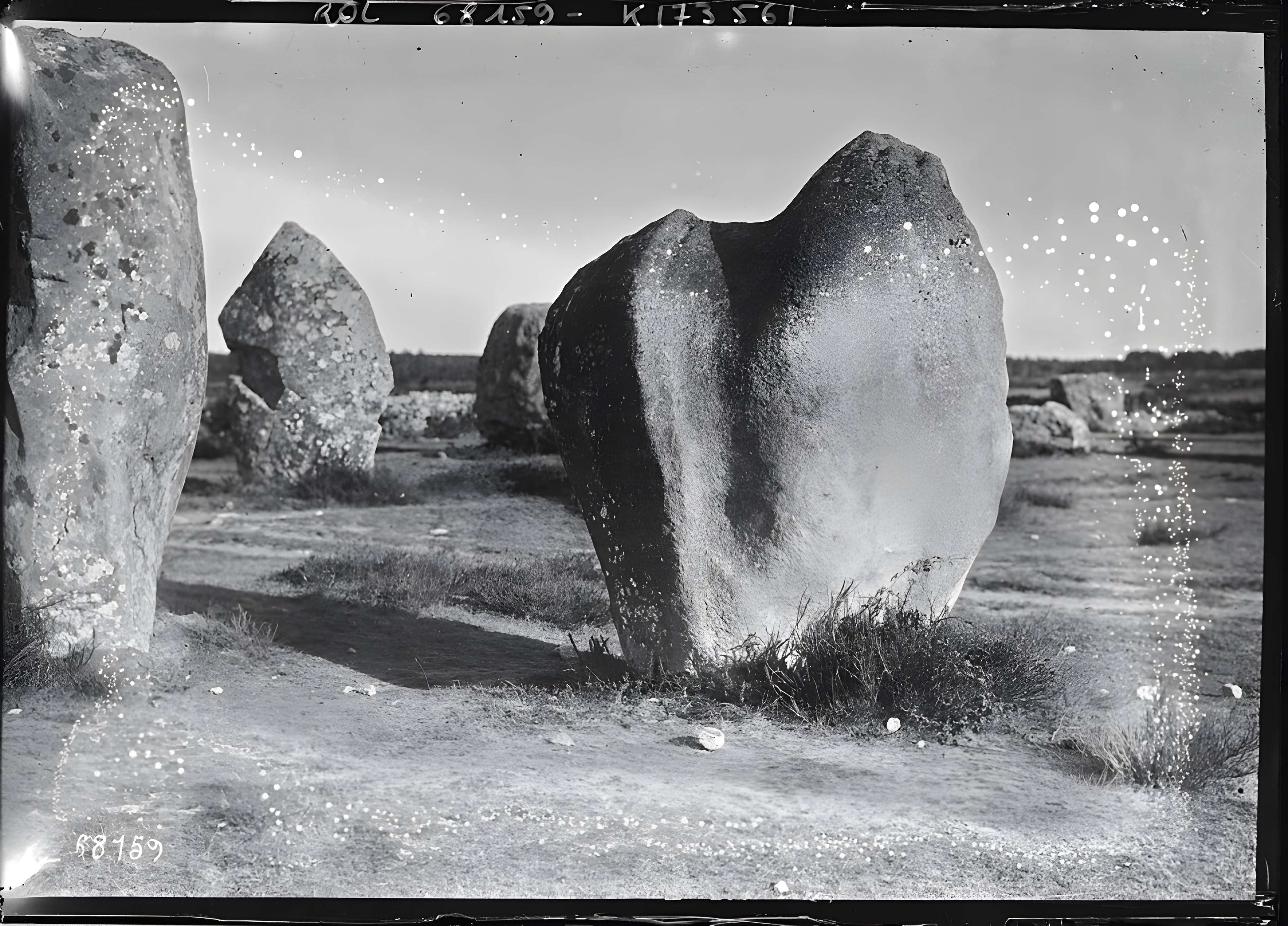 Six menhirs de l'enceinte du Ménec