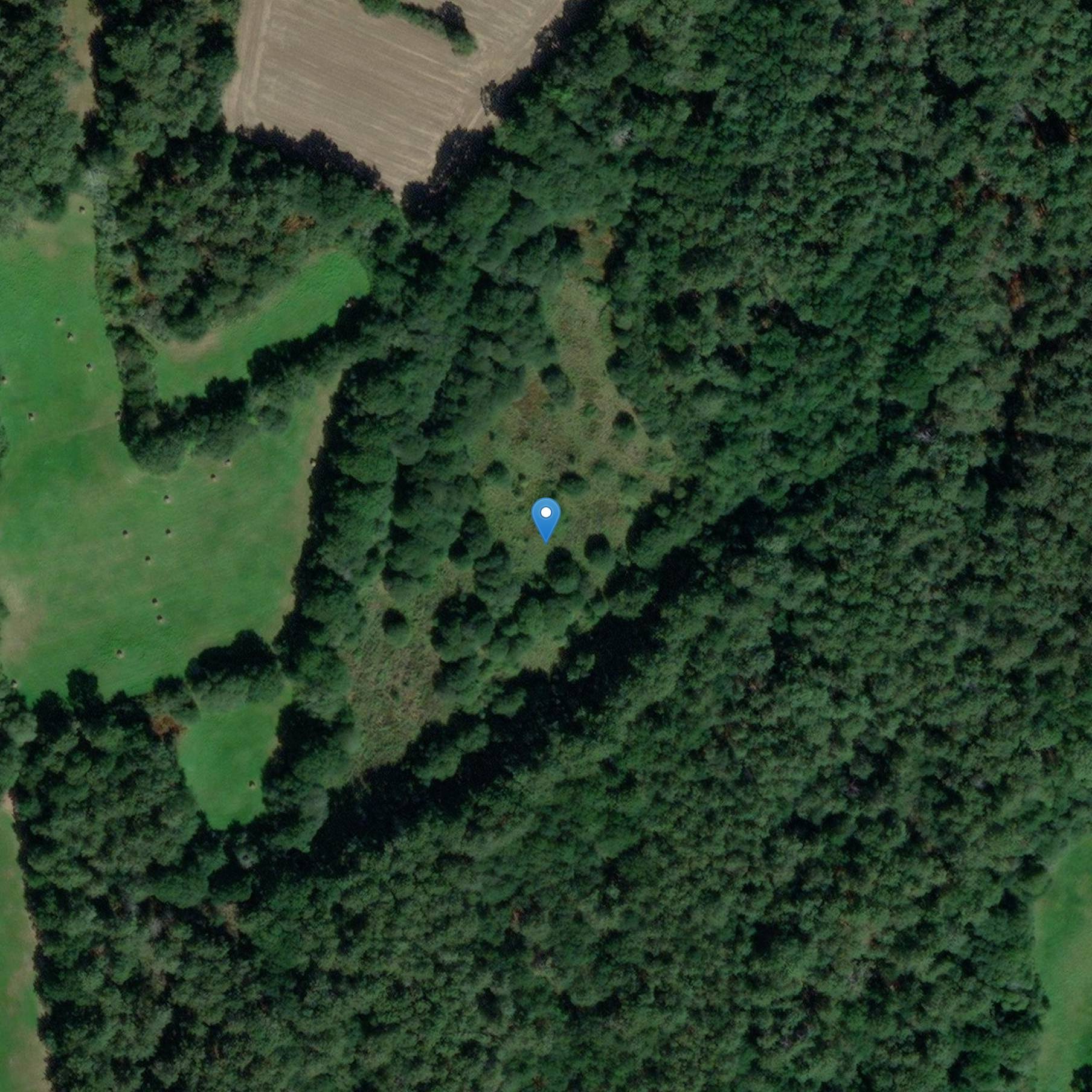 Photo de トゥムラス