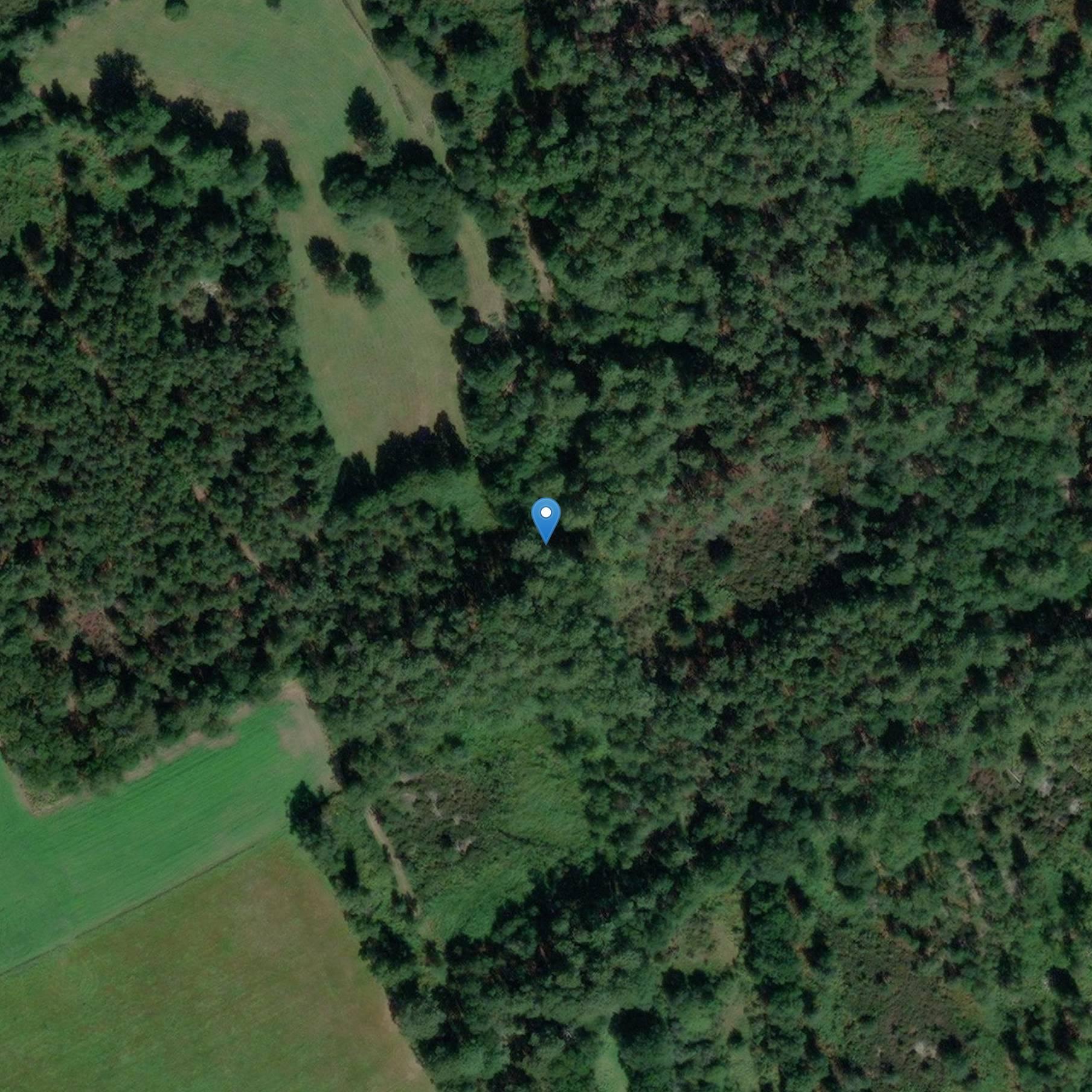 Photo de 円形 tumulus