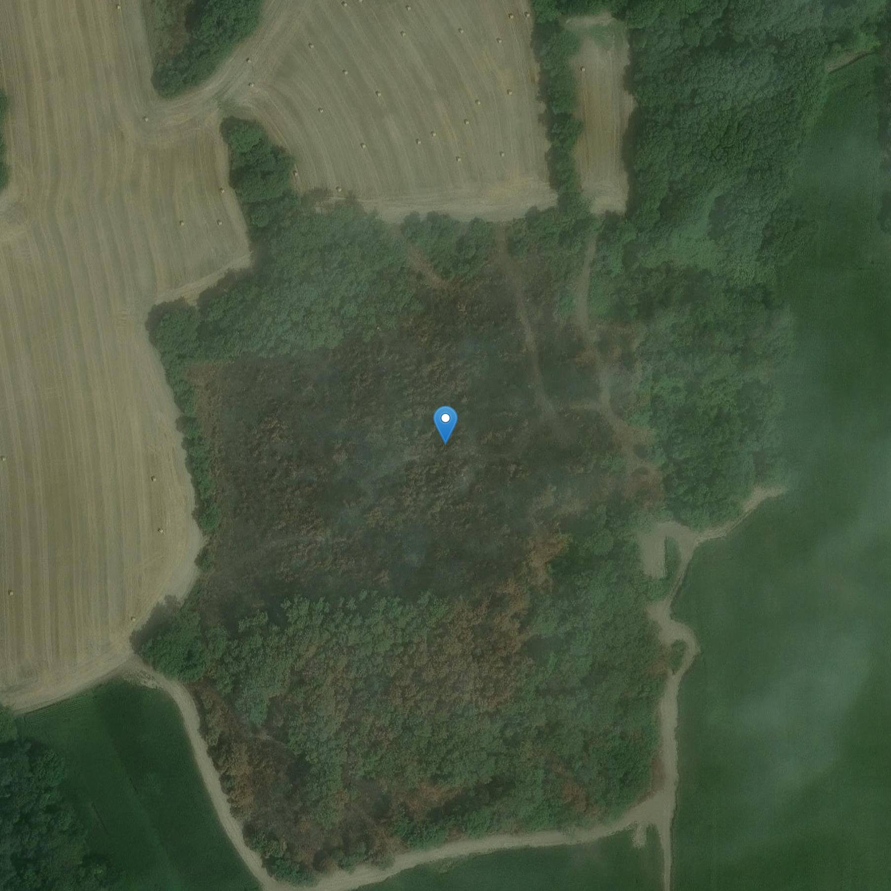 Photo de ダブル ドルメン tumulus 言う Er-Voten-de-Mané-Lavarec