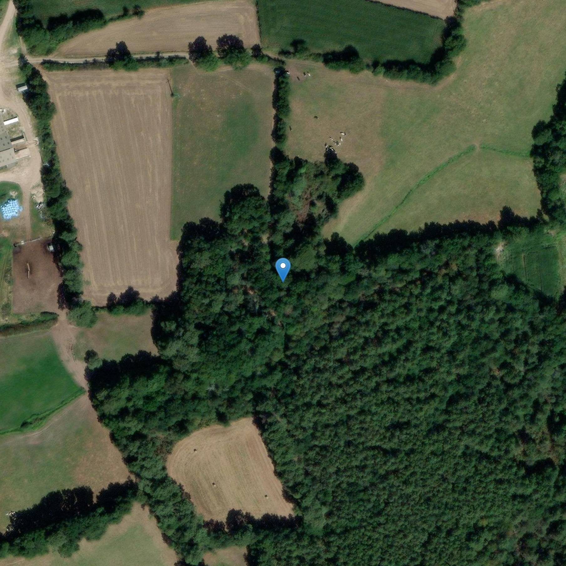 Photo de Tumulusの2つのギャラリーのドルメンは残っています