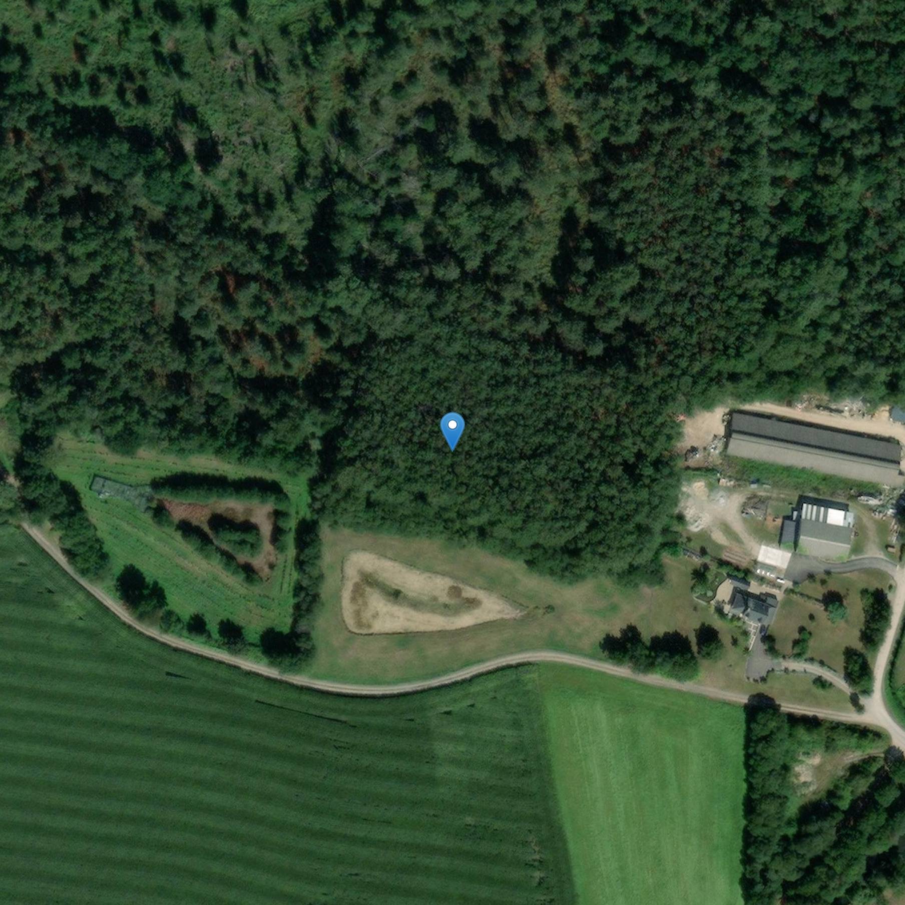 Photo de Menhir du Léry