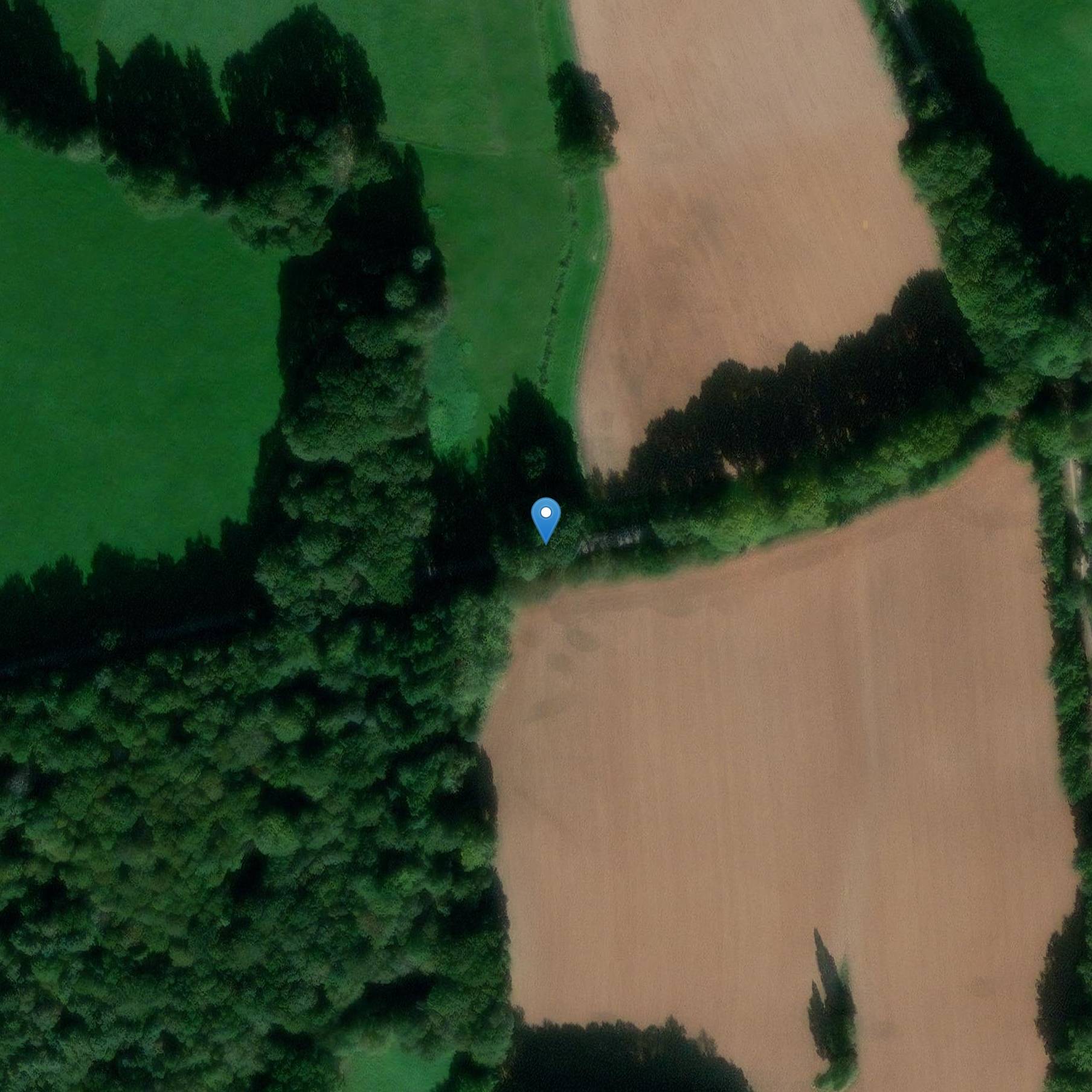 Photo de Hambot Kreuz