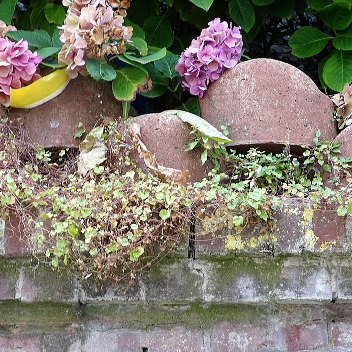 Photo de Église Saint-Pierre dAult