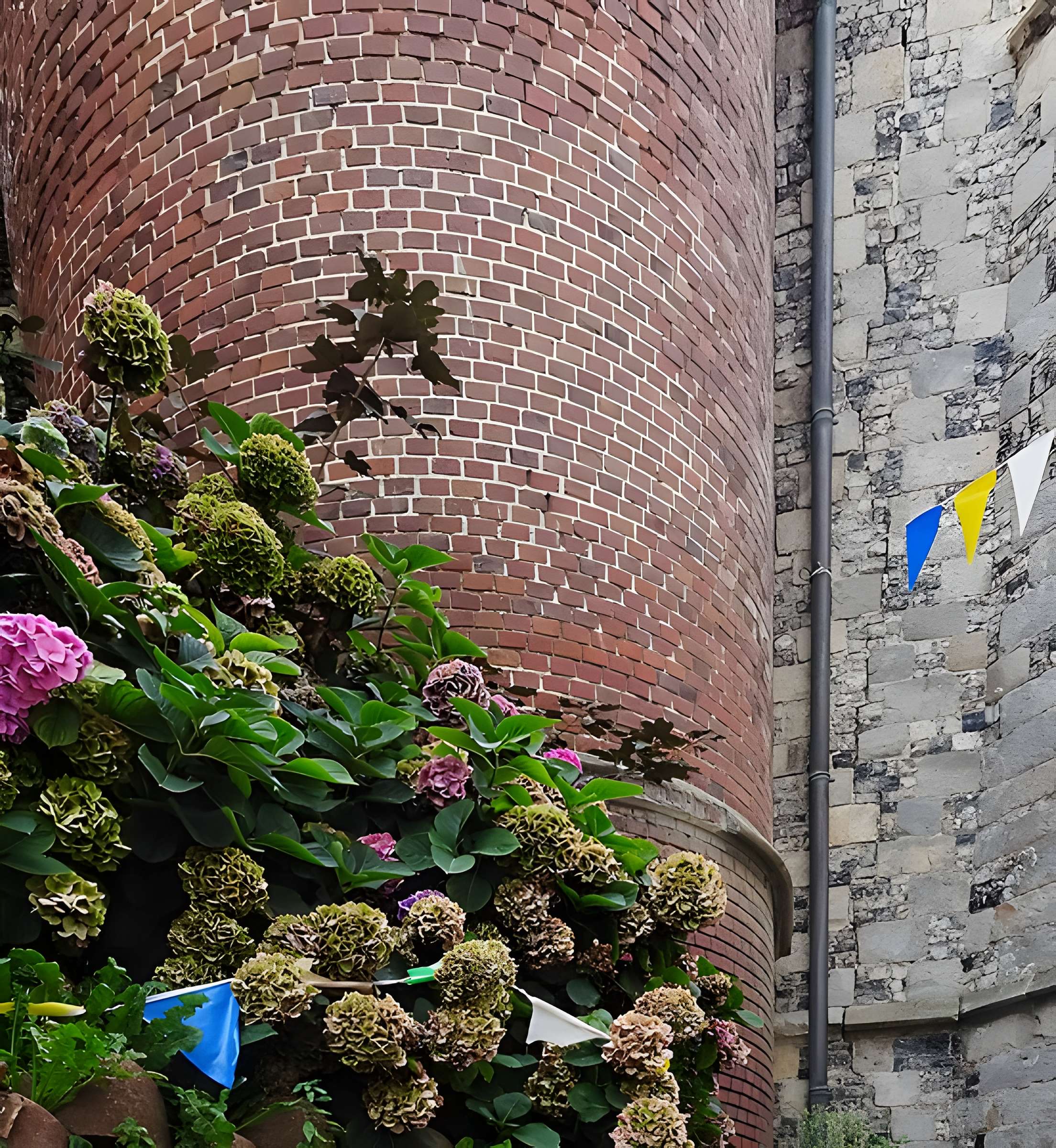 Église Saint-Pierre d'Ault