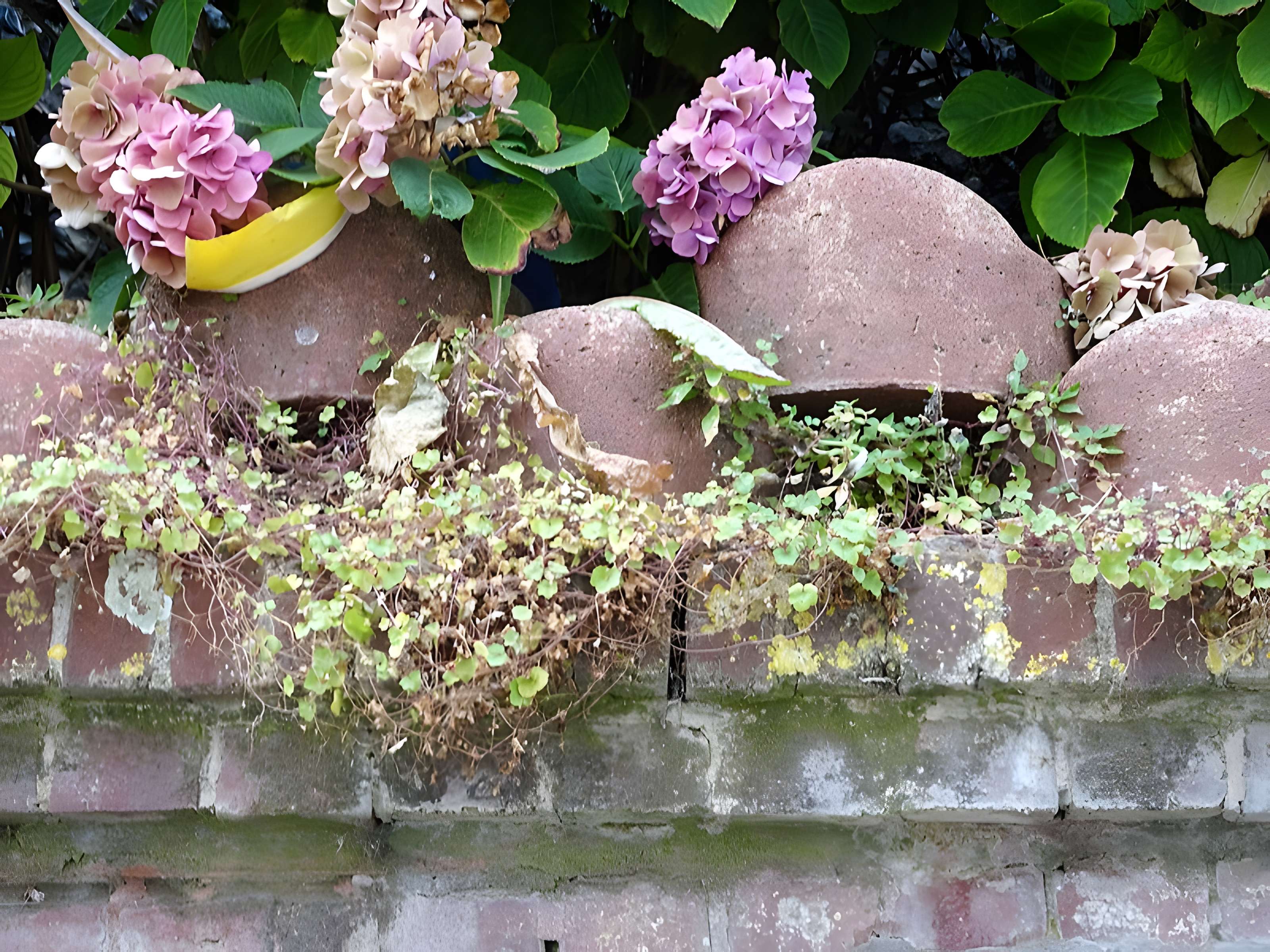 Église Saint-Pierre d'Ault
