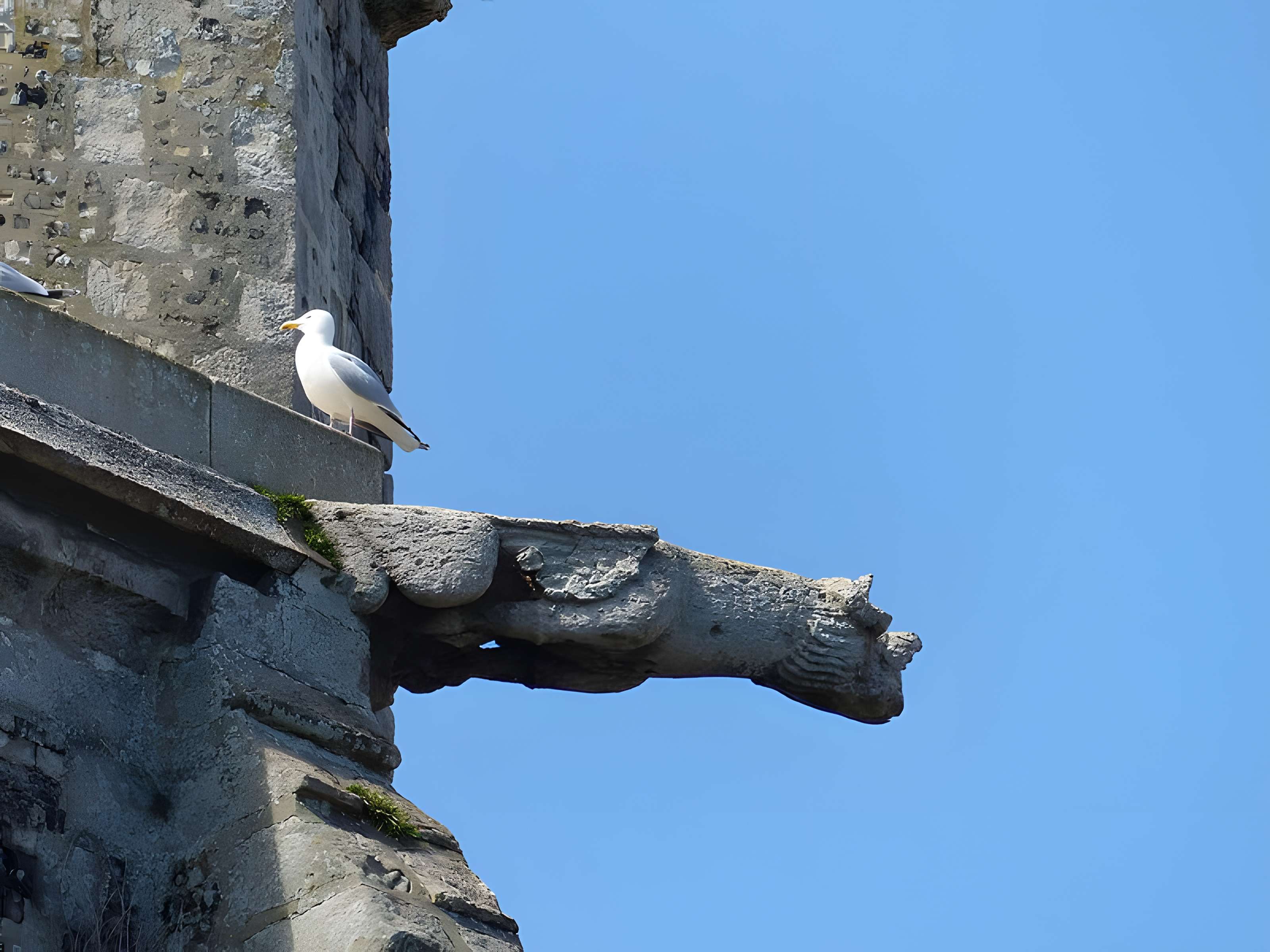 Église Saint-Pierre d'Ault