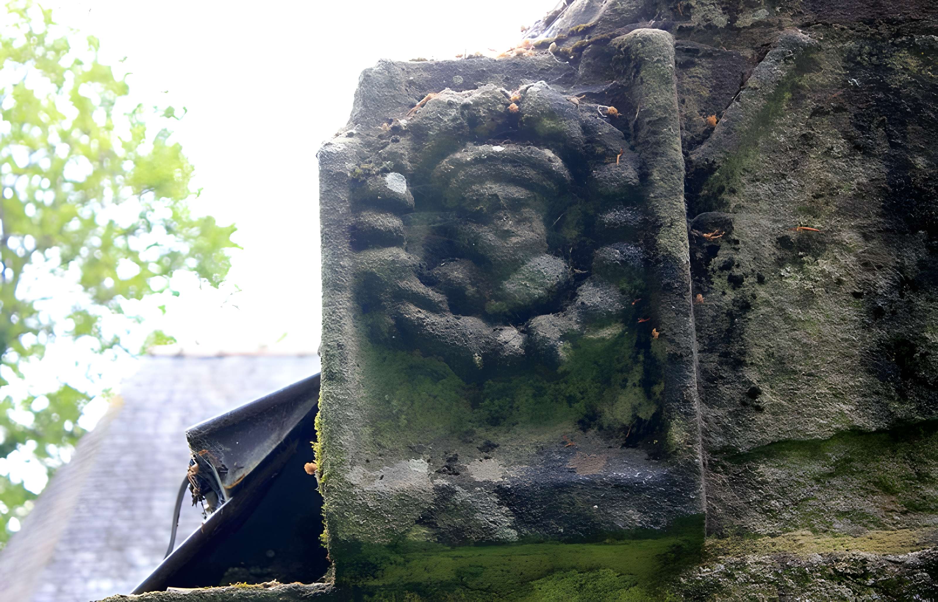 Chapelle Notre-Dame-de-Manéguen et fontaine
