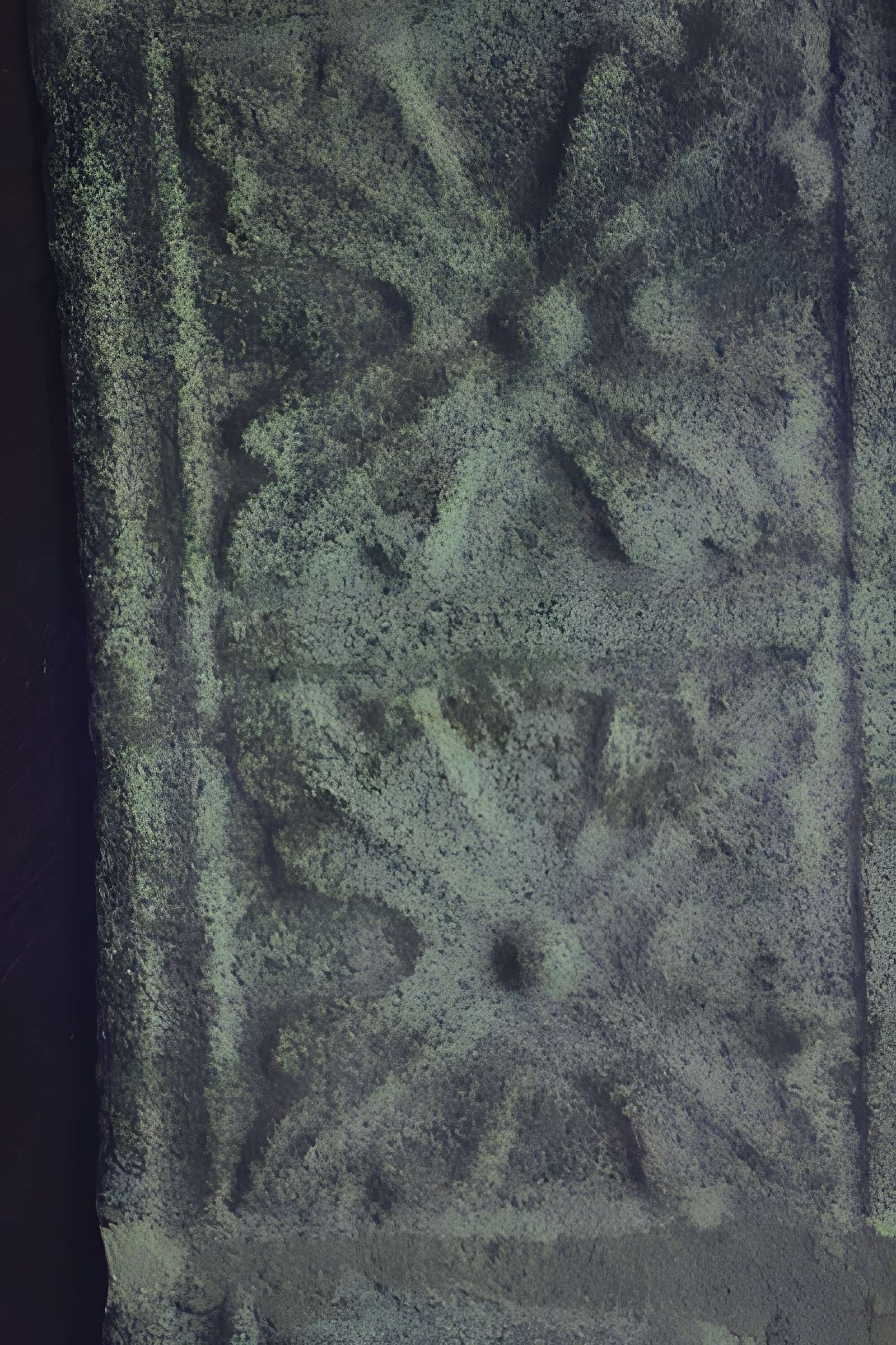 Chapelle Notre-Dame-de-Manéguen et fontaine