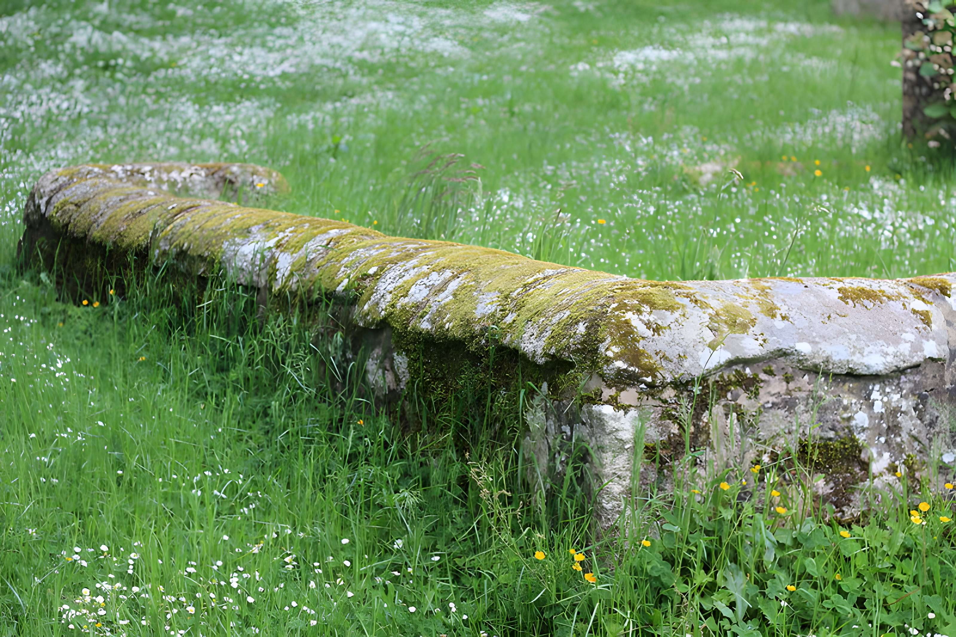 Chapelle Notre-Dame-de-Manéguen et fontaine