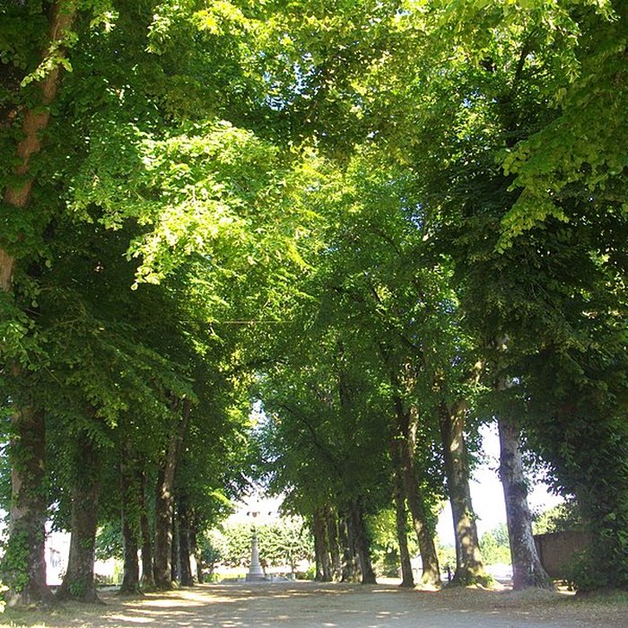 Photo de Promenade dite Le Mail
