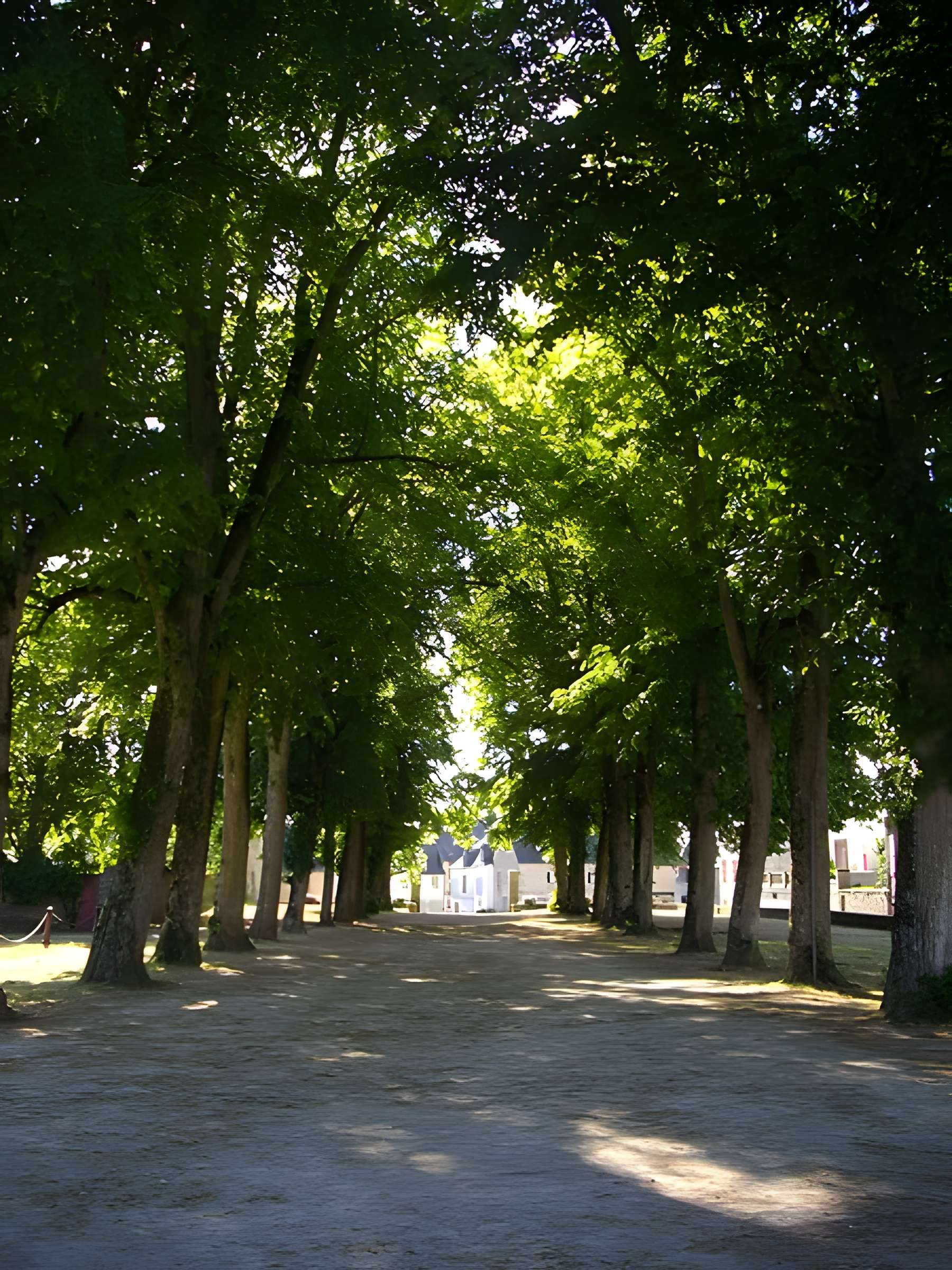 Promenade dite Le Mail