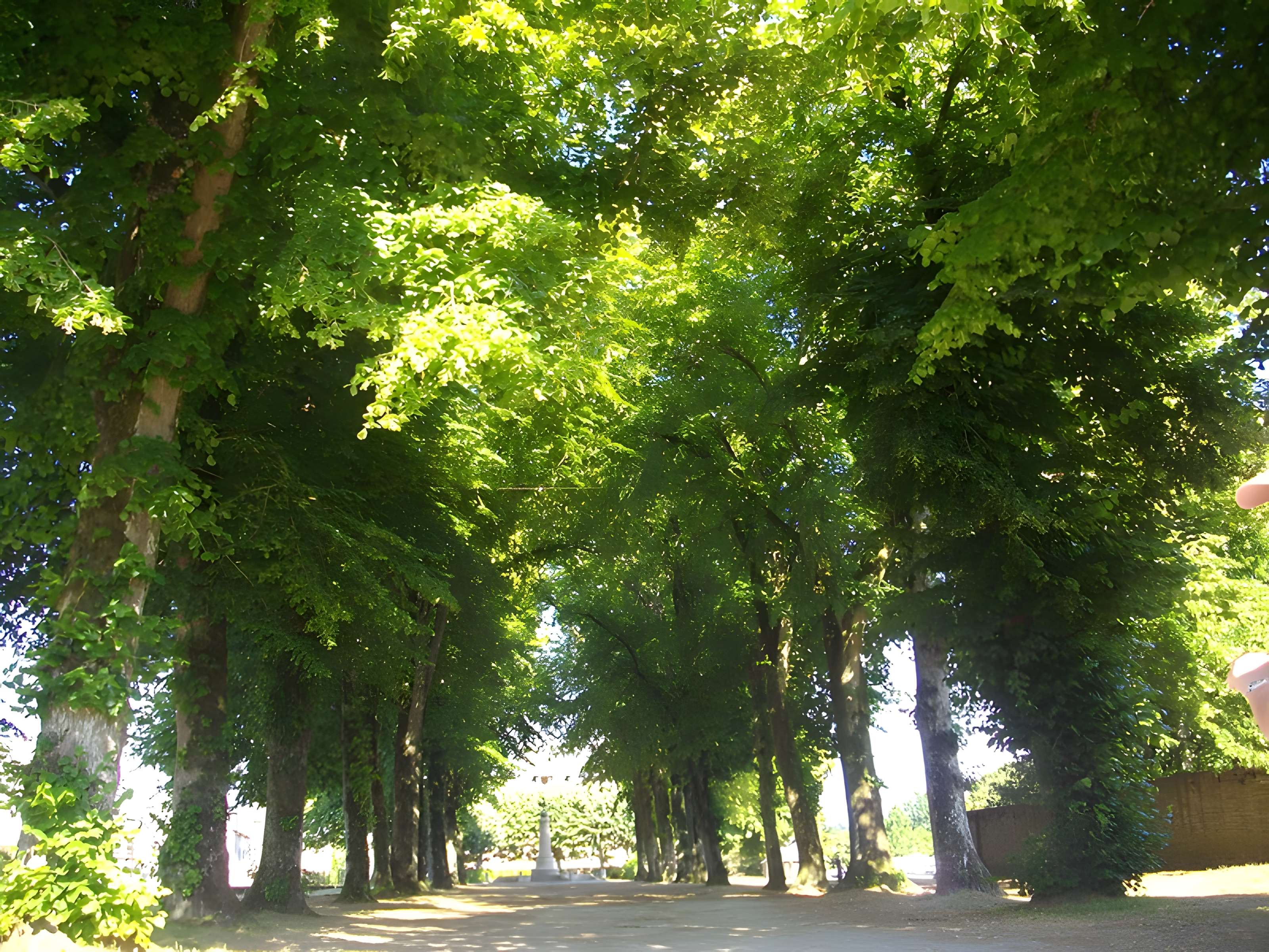 Promenade dite Le Mail