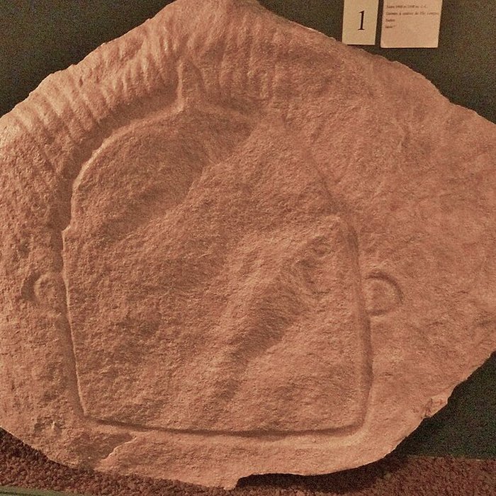 Photo de Cairn et Dolmen de l’Île Longue