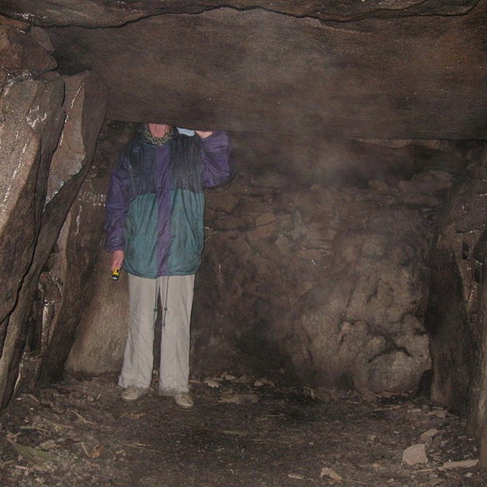Photo de Allée couverte sous tumulus, dolmen du Rocher