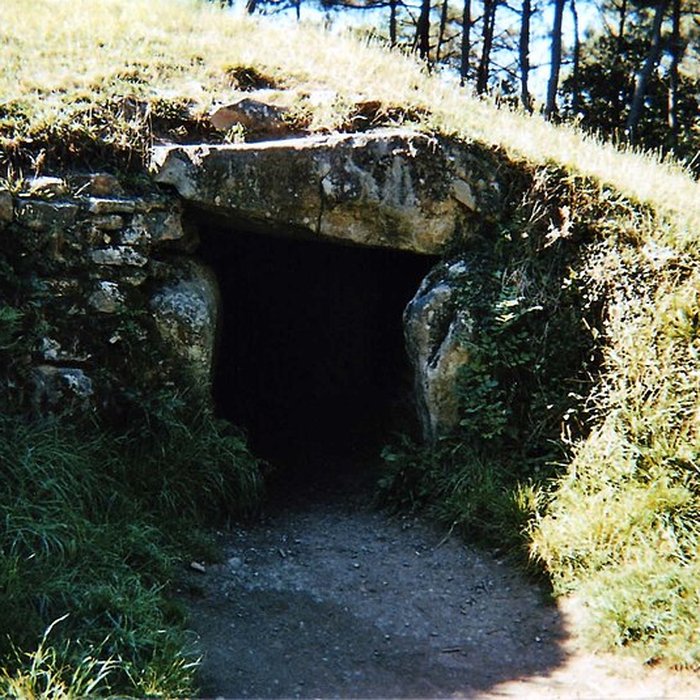 Photo de Allée couverte sous tumulus, dolmen du Rocher