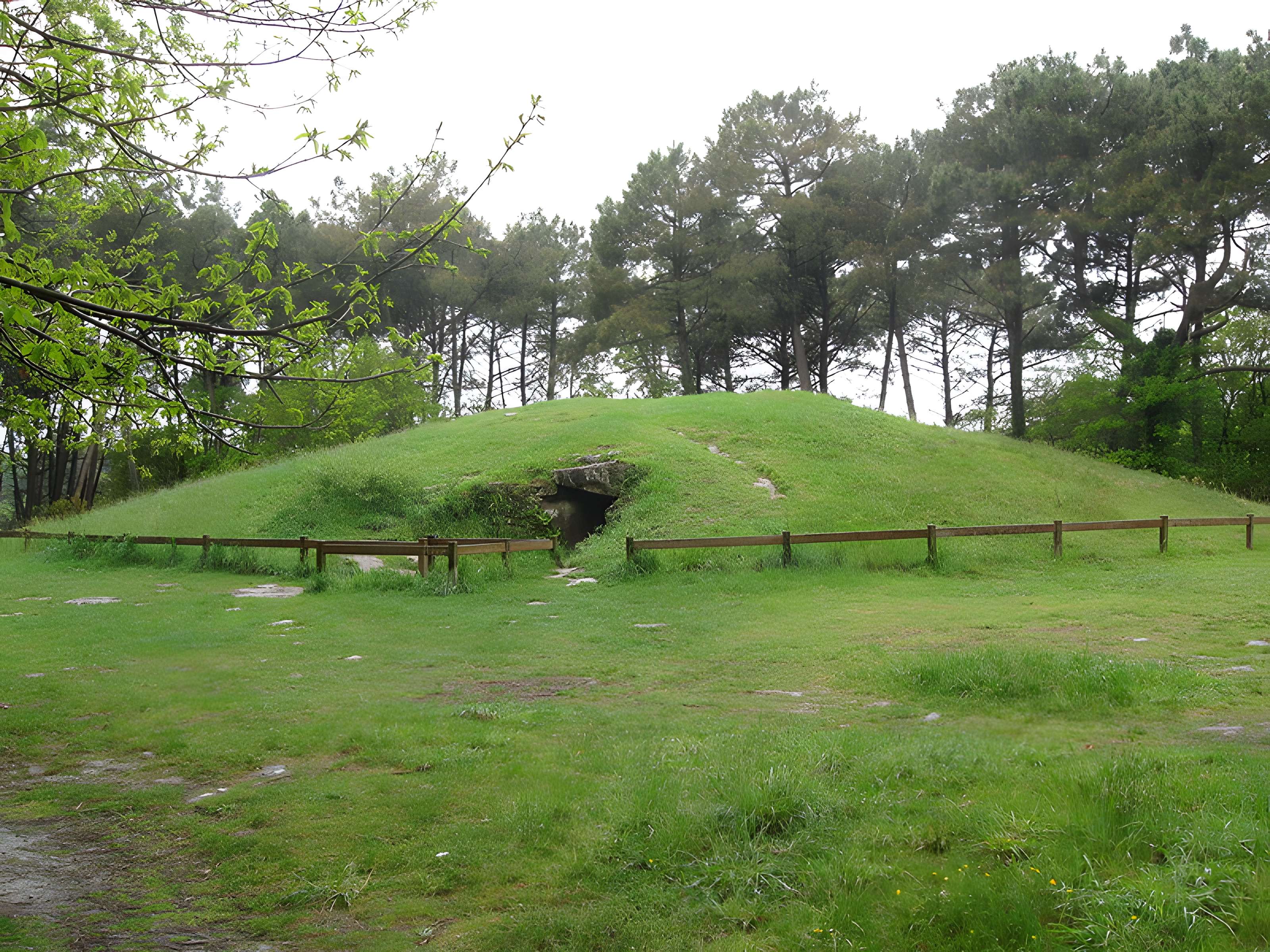 Allée couverte sous tumulus, dolmen du Rocher