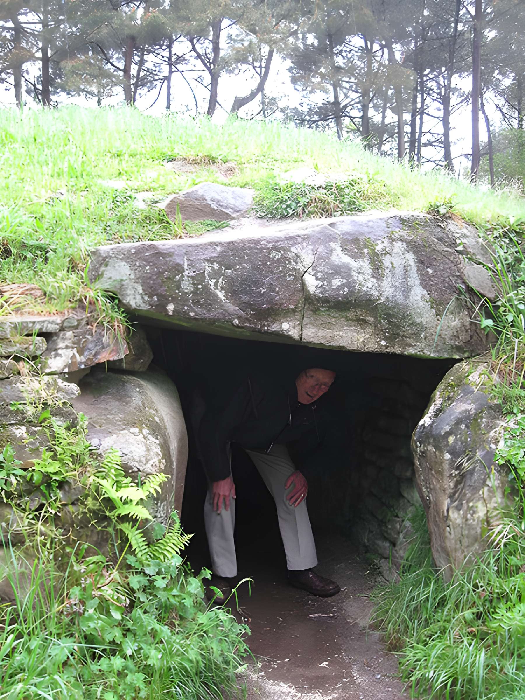 Allée couverte sous tumulus, dolmen du Rocher