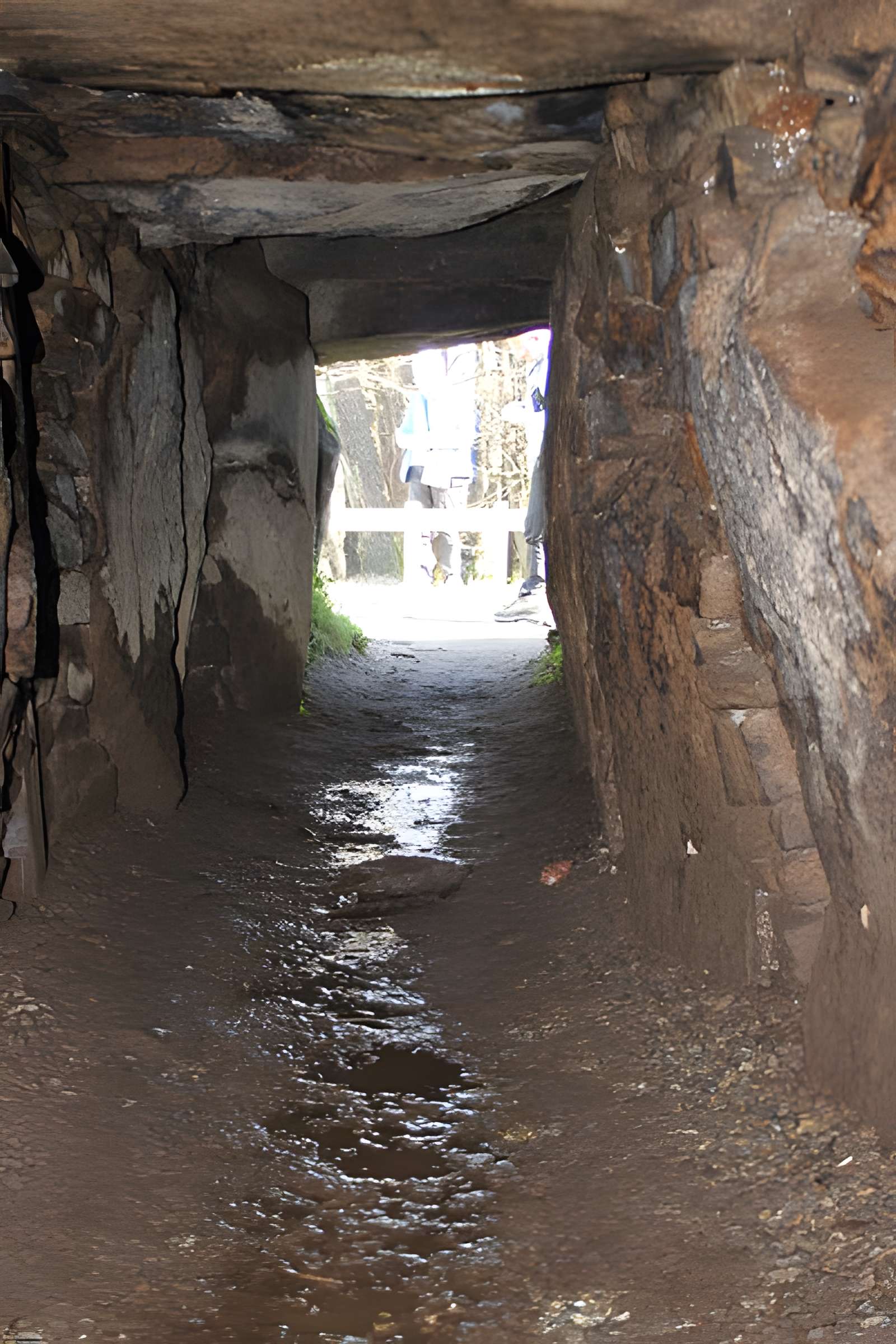 Allée couverte sous tumulus, dolmen du Rocher