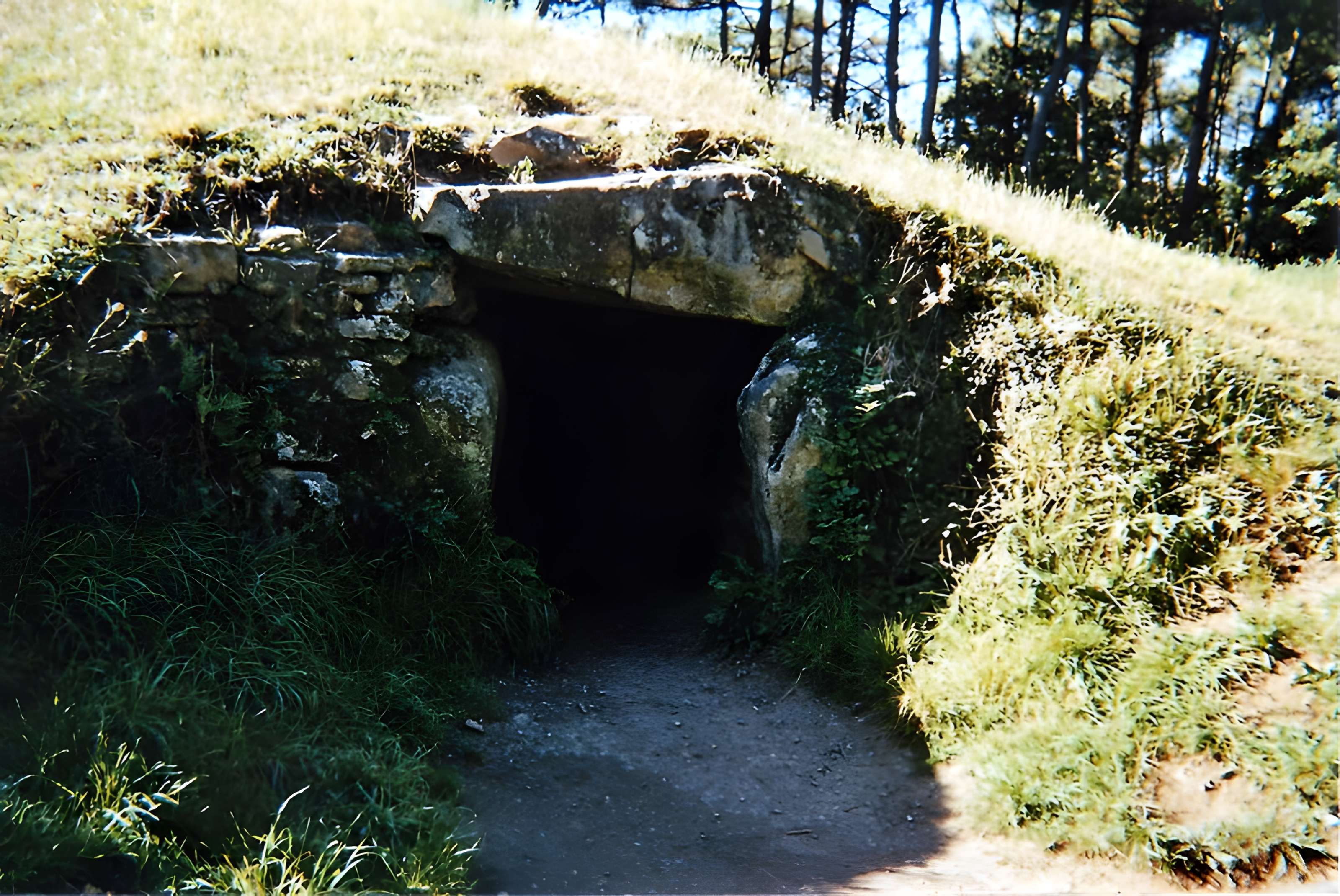 Allée couverte sous tumulus, dolmen du Rocher