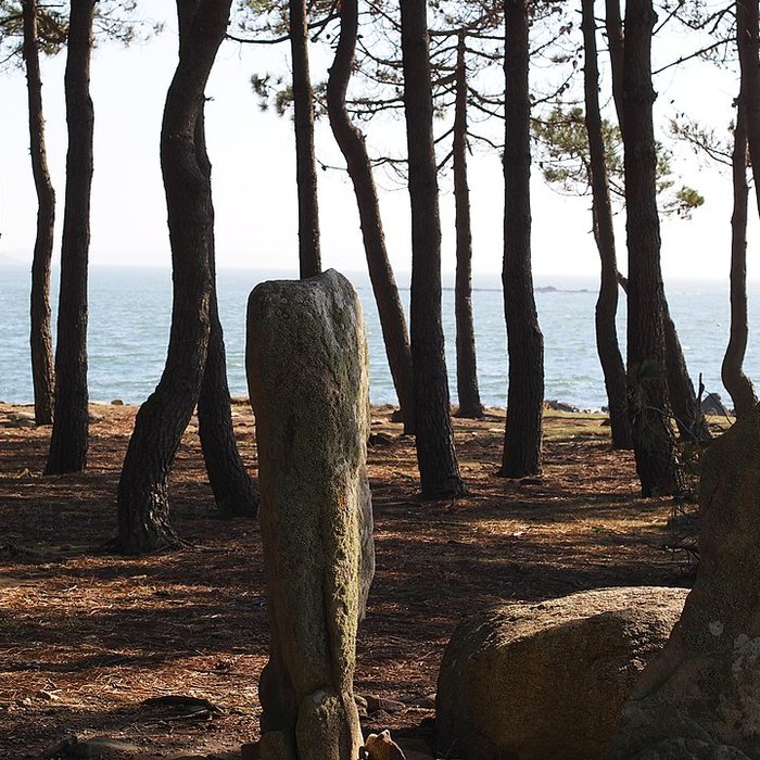 Photo de Dolmen de la pointe Er Hourel