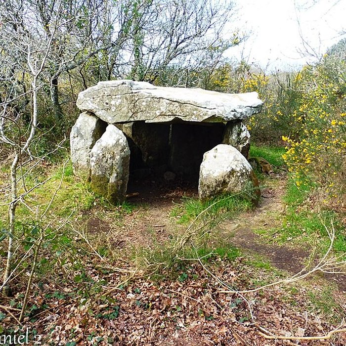 Photo de Dolmen à galerie dans la base dun tumulus circulaire