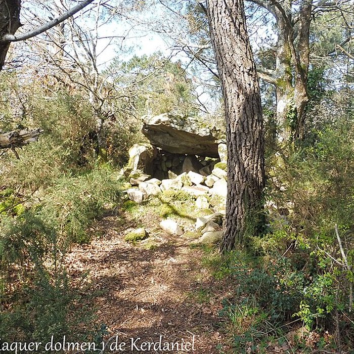 Photo de Dolmen à galerie dans la base dun tumulus circulaire