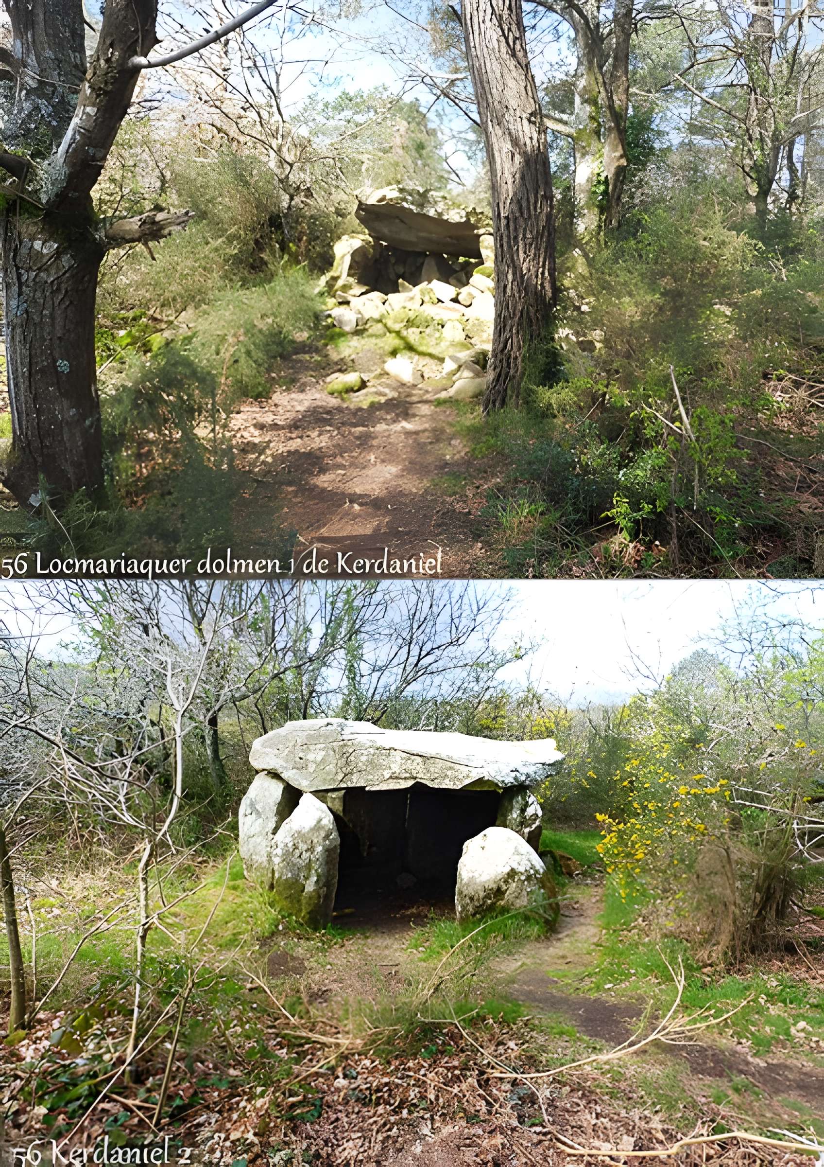 Dolmen à galerie dans la base d'un tumulus circulaire