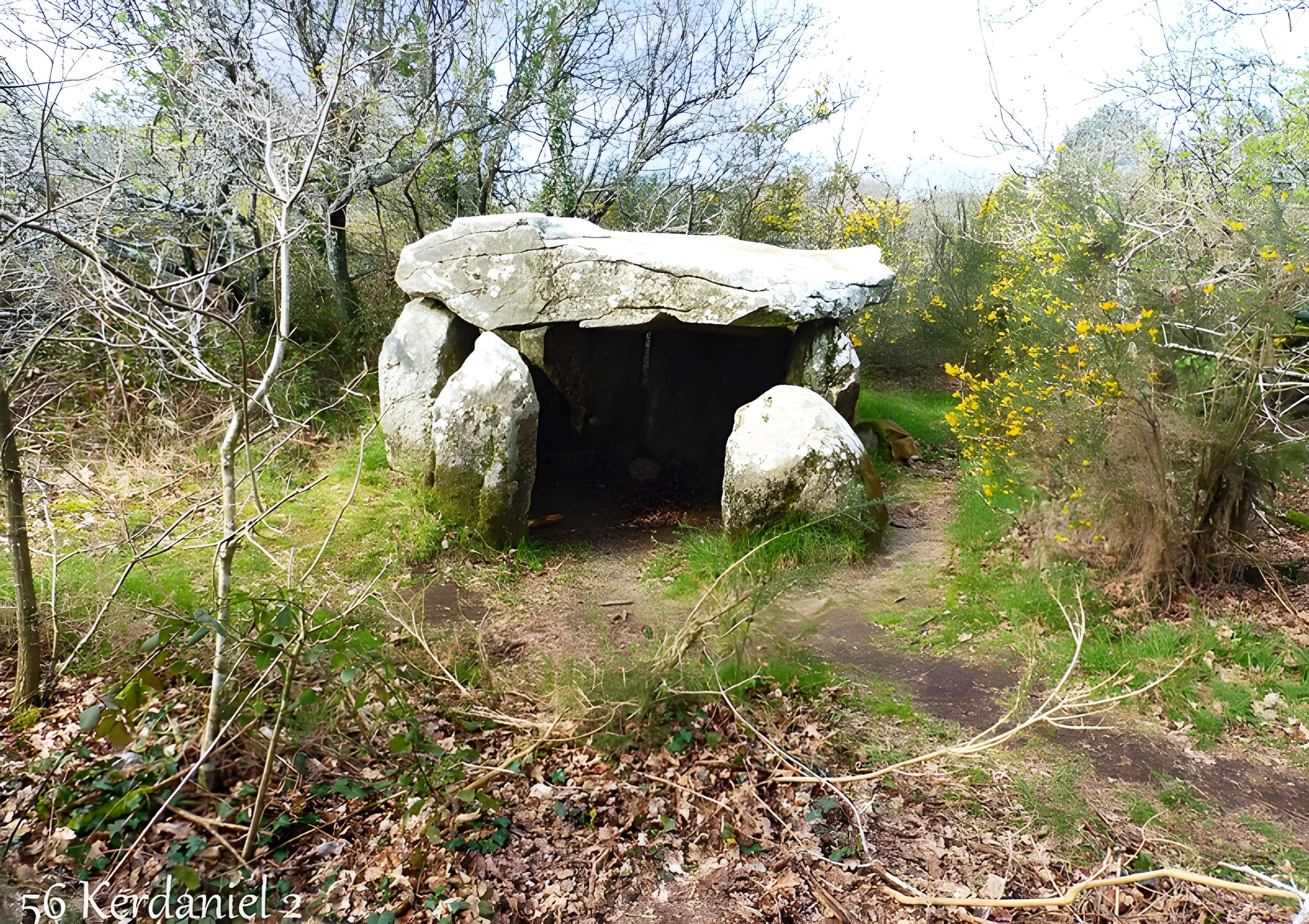 Dolmen à galerie dans la base d'un tumulus circulaire