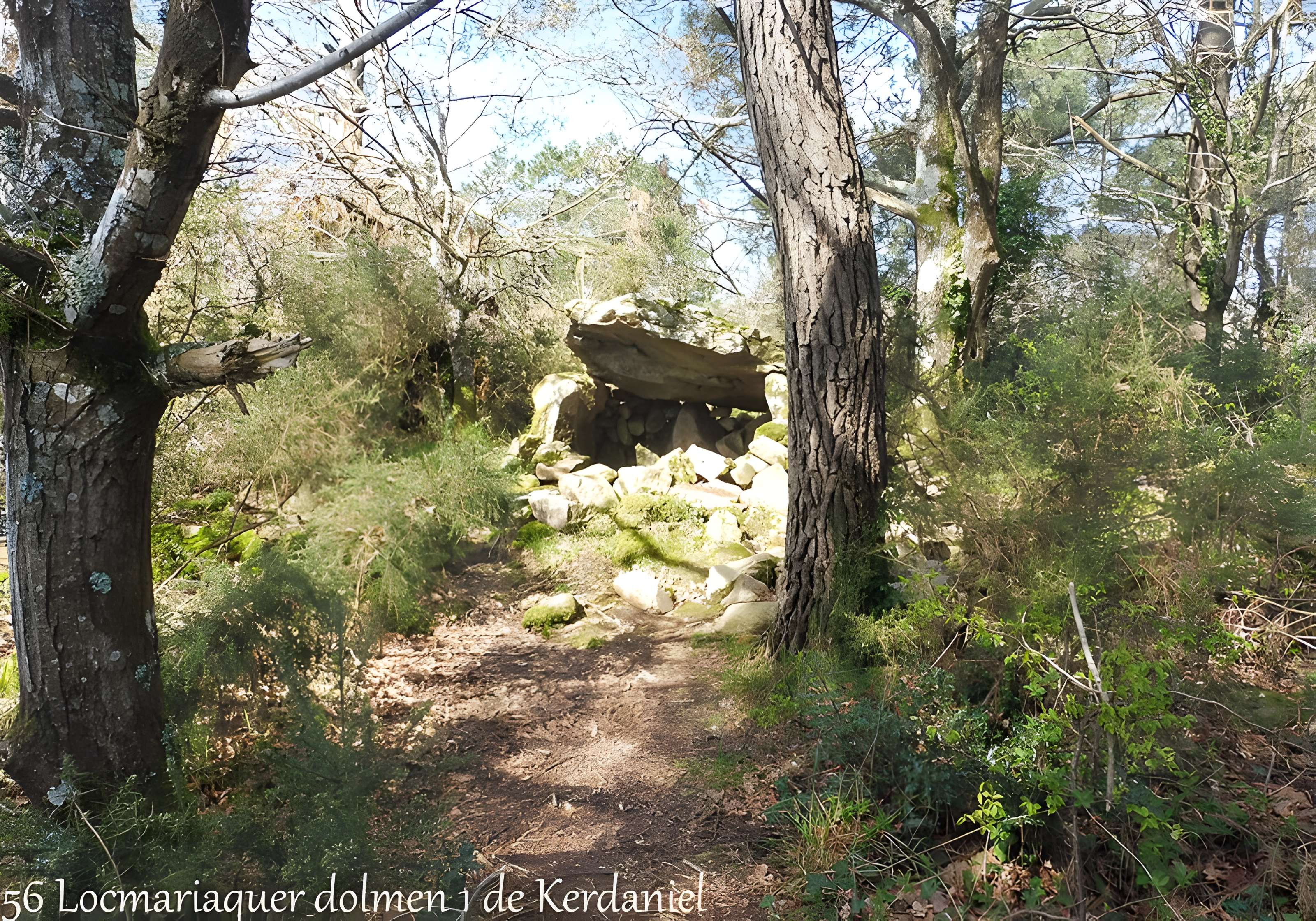 Dolmen à galerie dans la base d'un tumulus circulaire