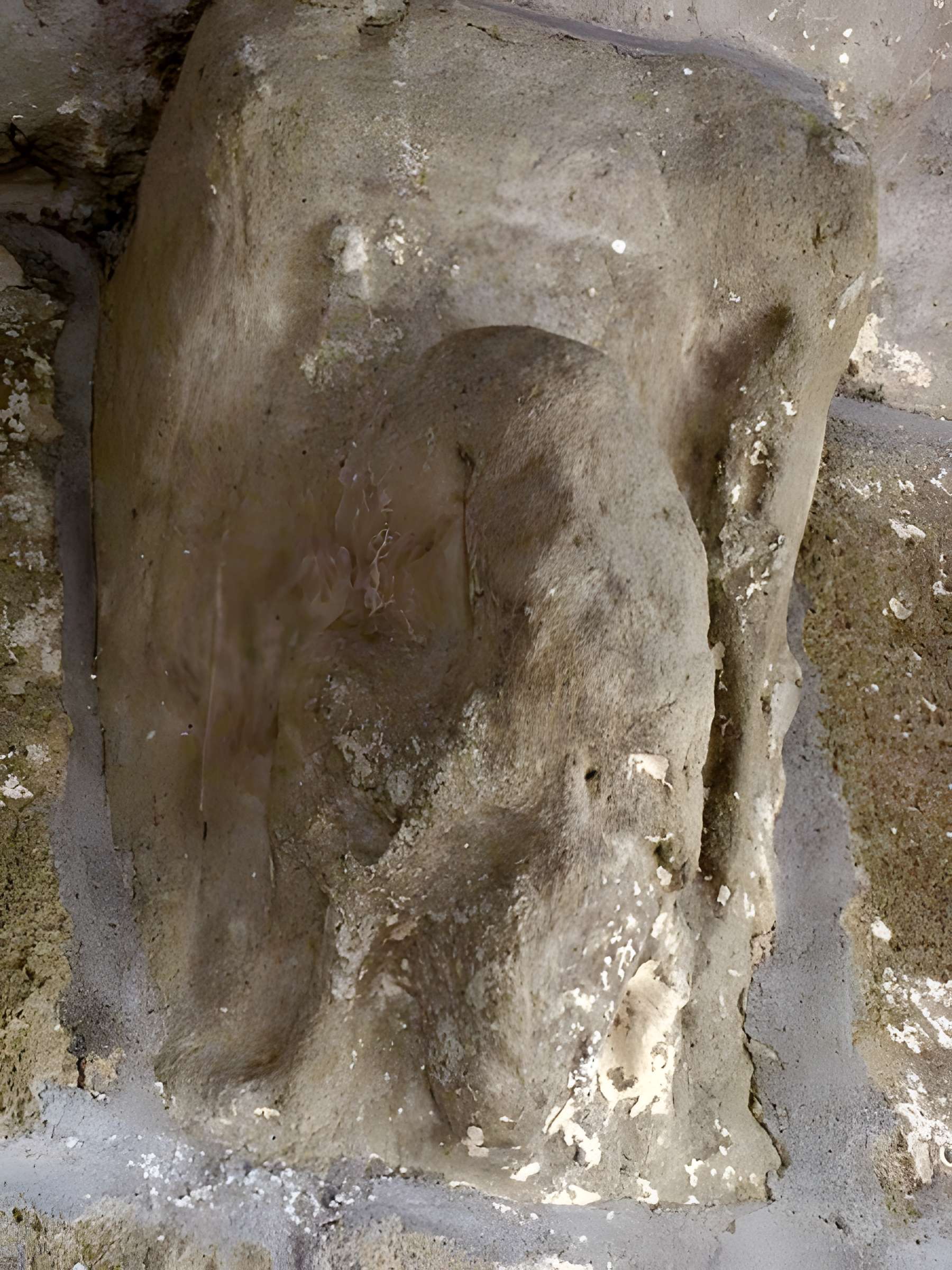 Église Saint-Pierre de Camiran