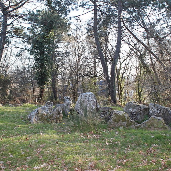 Photo de Dolmen à galerie avec la base du tumulus