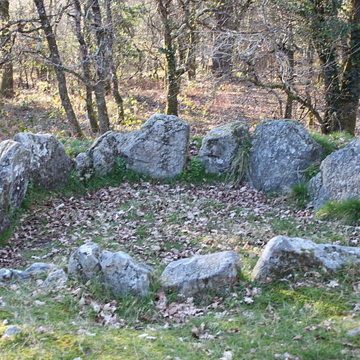 Photo de Dolmen à galerie avec la base du tumulus