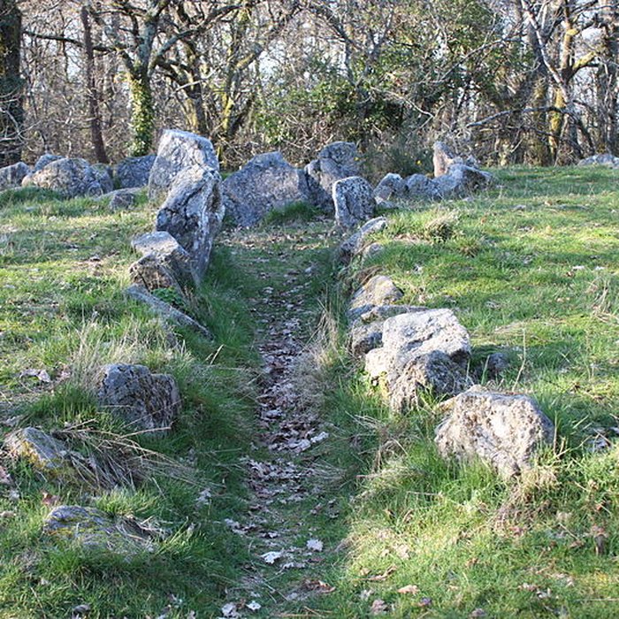 Photo de Dolmen à galerie avec la base du tumulus