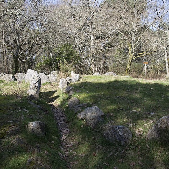 Photo de Dolmen à galerie avec la base du tumulus