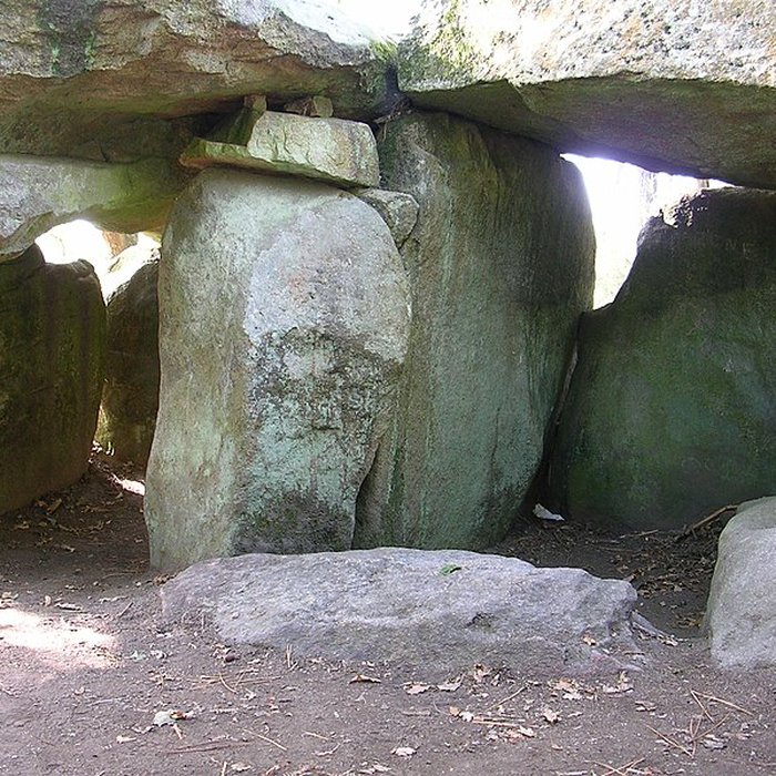 Photo de Dolmen à galerie avec la base du tumulus
